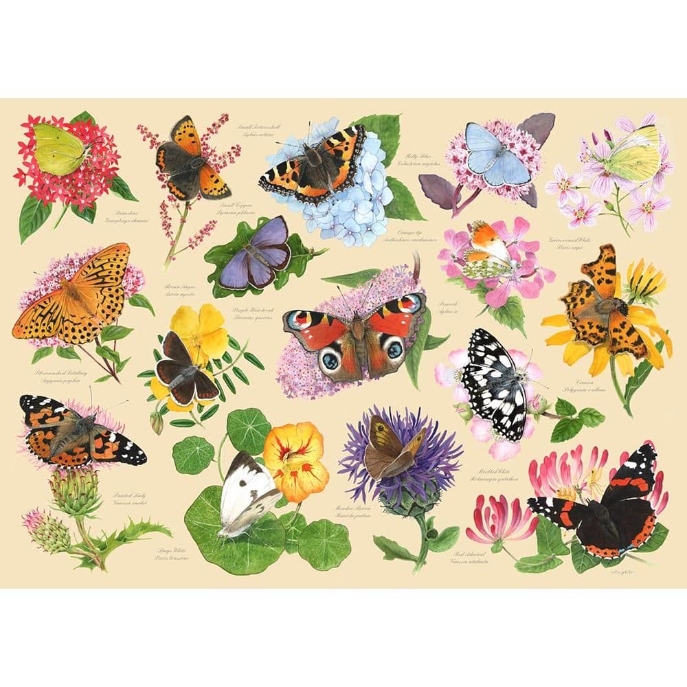 Garden Butterflies 1000 Piece Jigsaw Puzzle