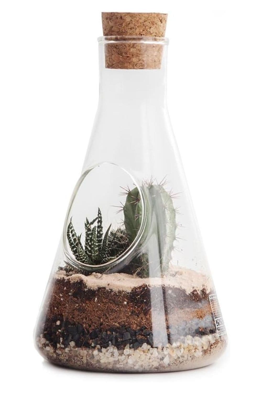 Chemistry Terrarium Kit 12 x 22.5cm