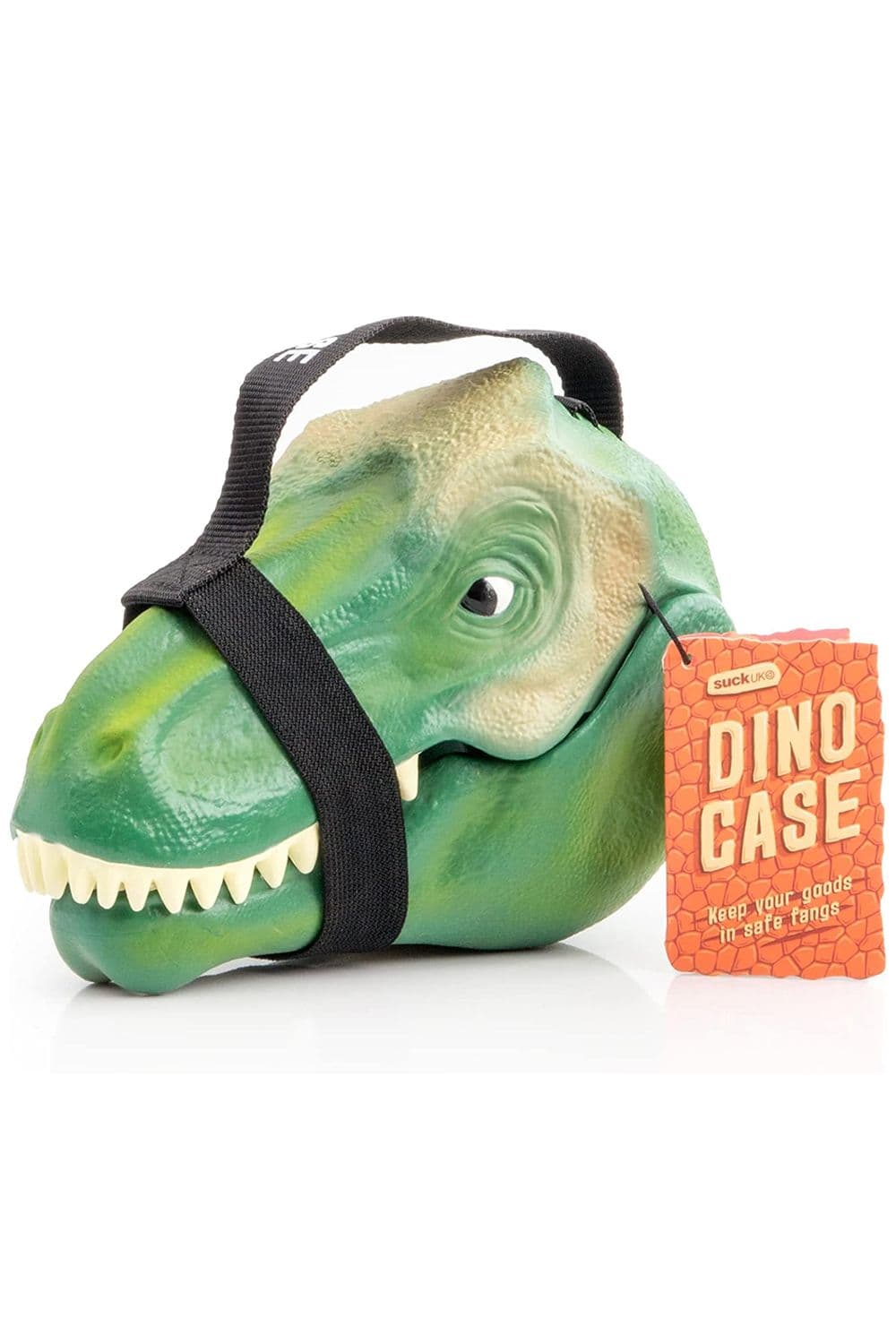 Dinosaur Lunch Box