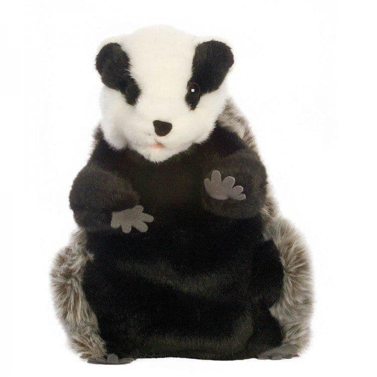 European Wildlife Badger