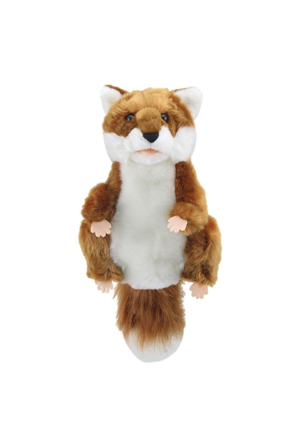 European Wildlife Fox