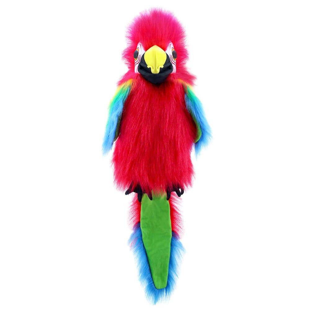 Large Birds Amazon Macaw