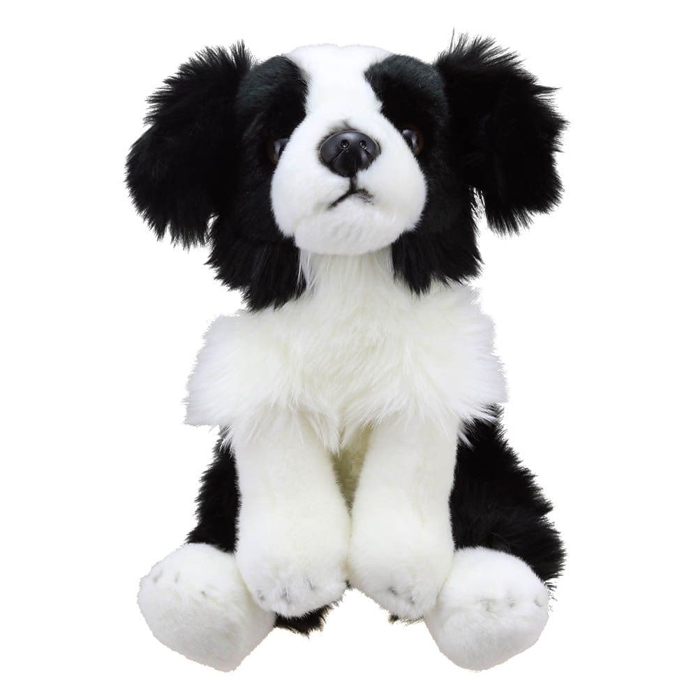 Wilberry Favourites Border Collie