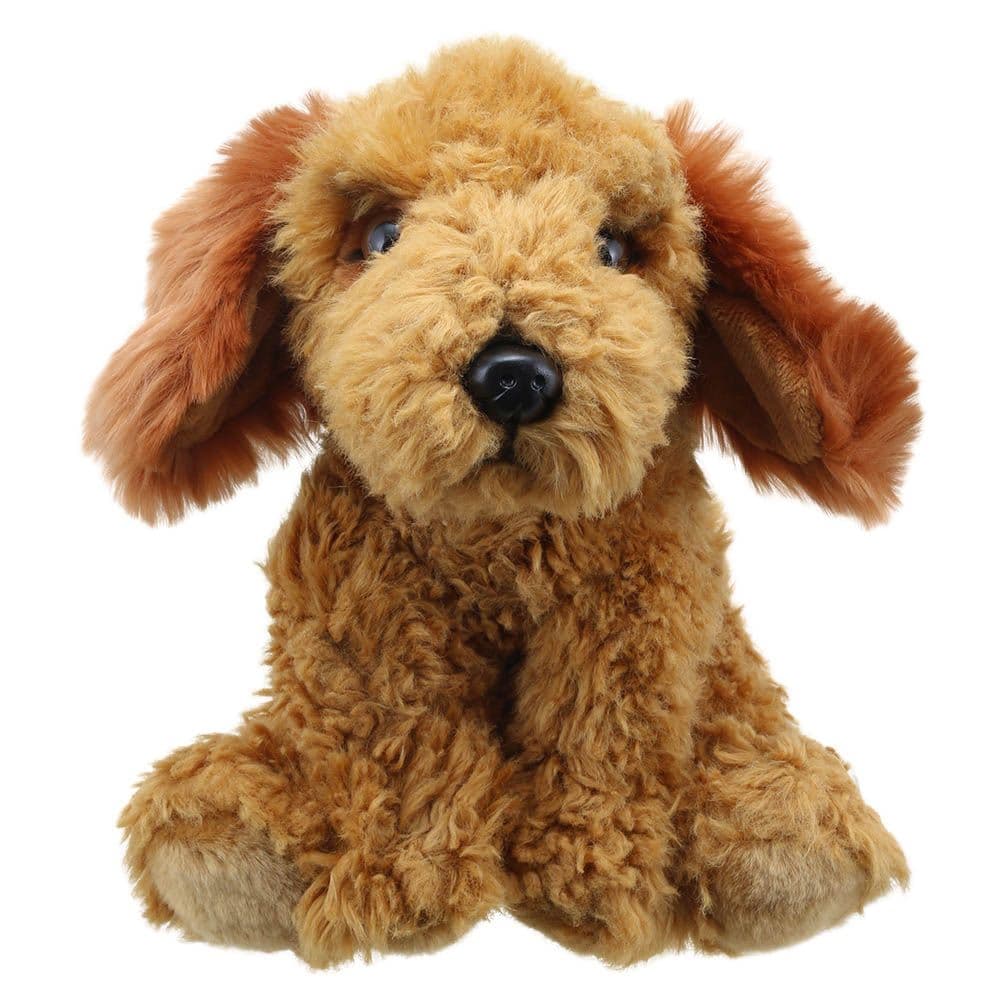 Wilberry Favourites Cockapoo