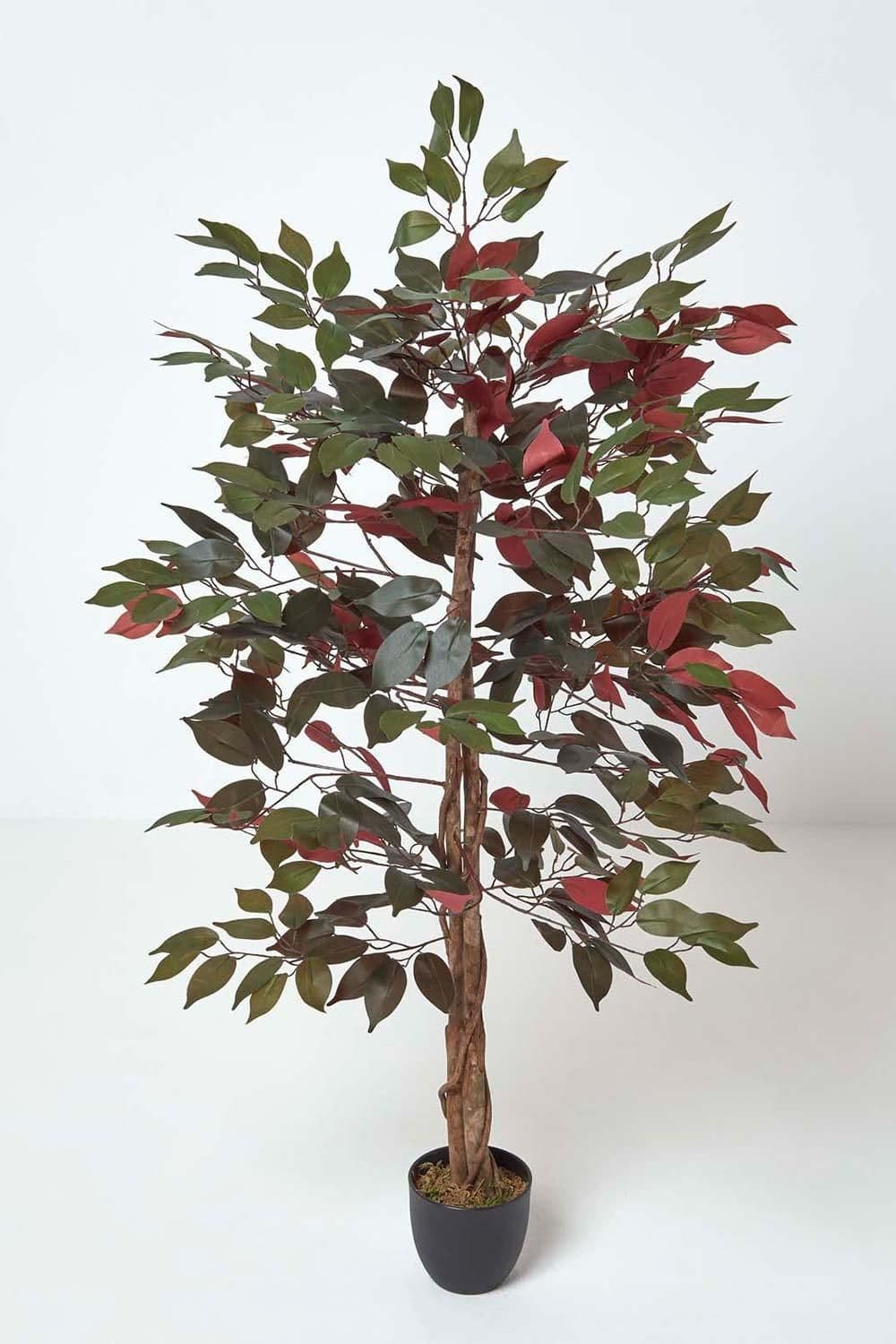 Green Artificial Capensia Tree Real Wood Trunk 4 Ft