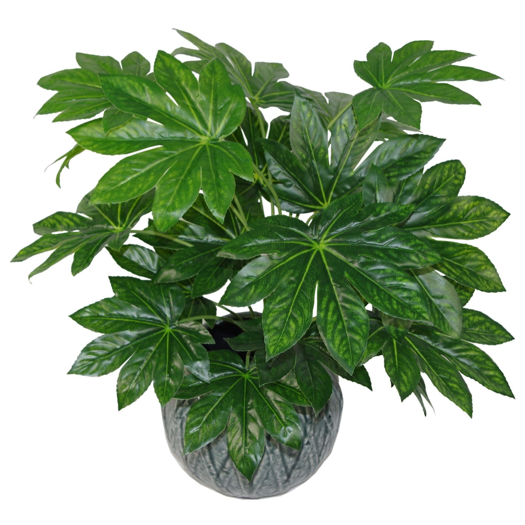 60cm Artificial Ruscus Aralia Plant Evergreen