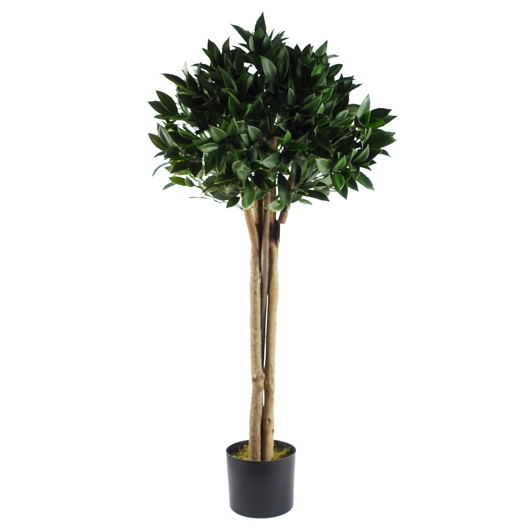 120cm Bay Tree Laurel UV Resistant Outdoor
