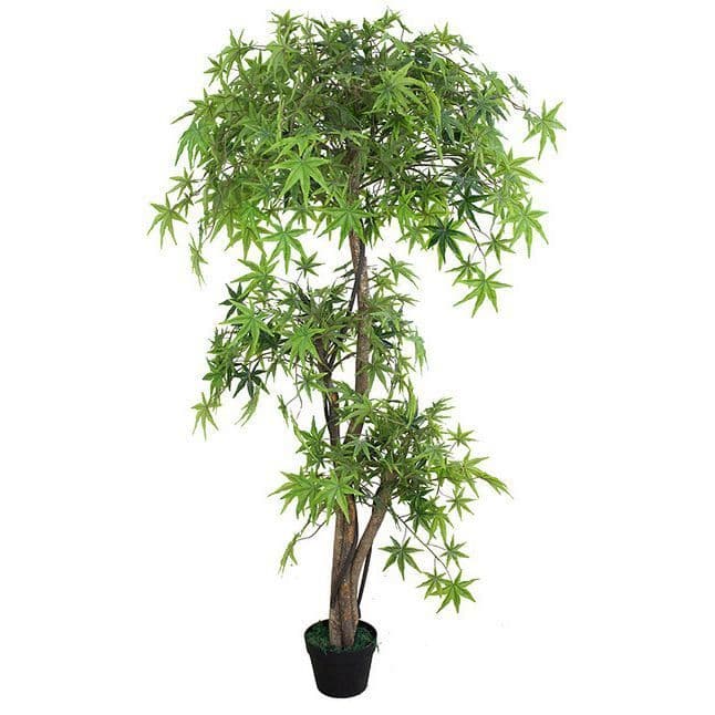 150cm Artificial Ruscus Maple Tree