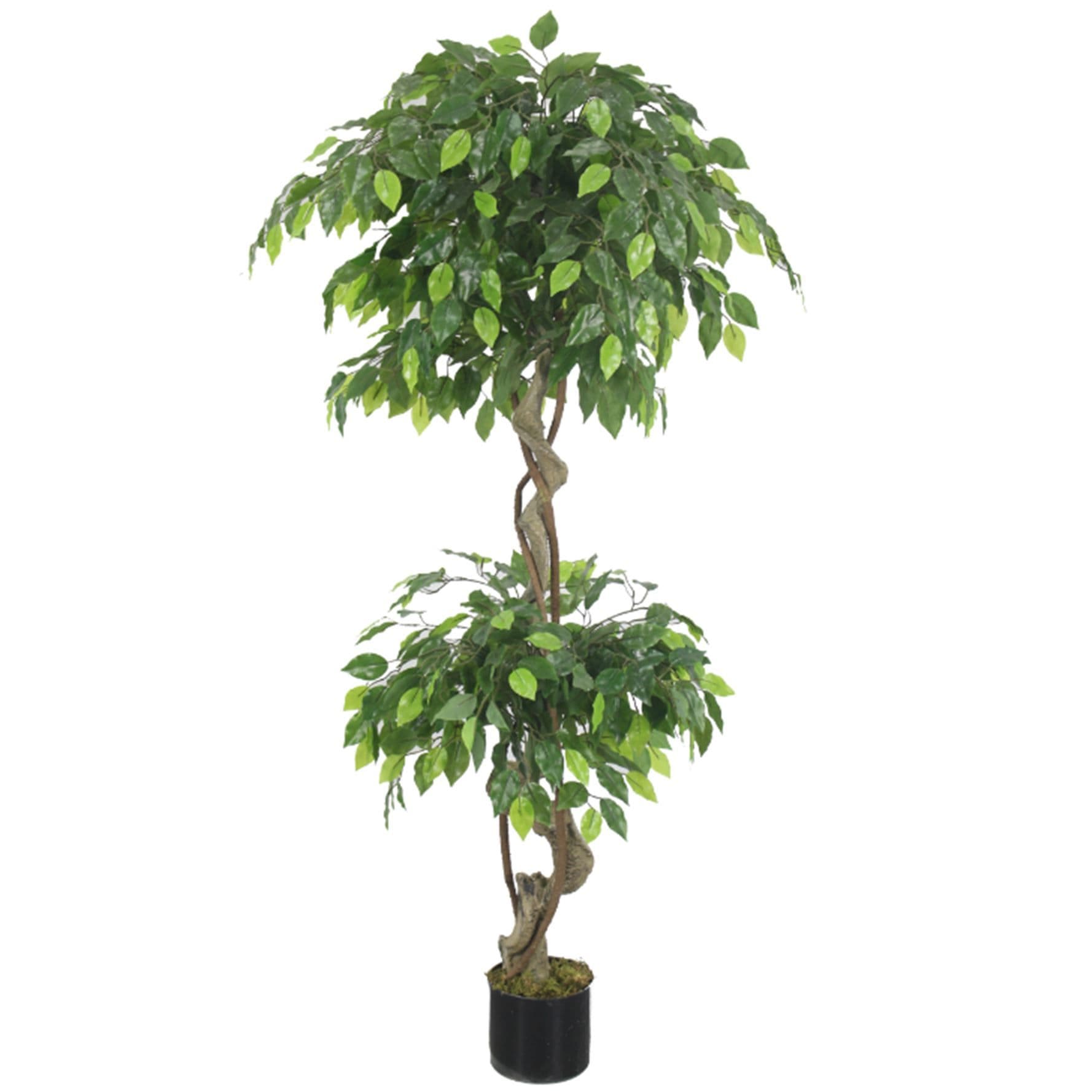 150cm Artificial Twisted Ficus Tree