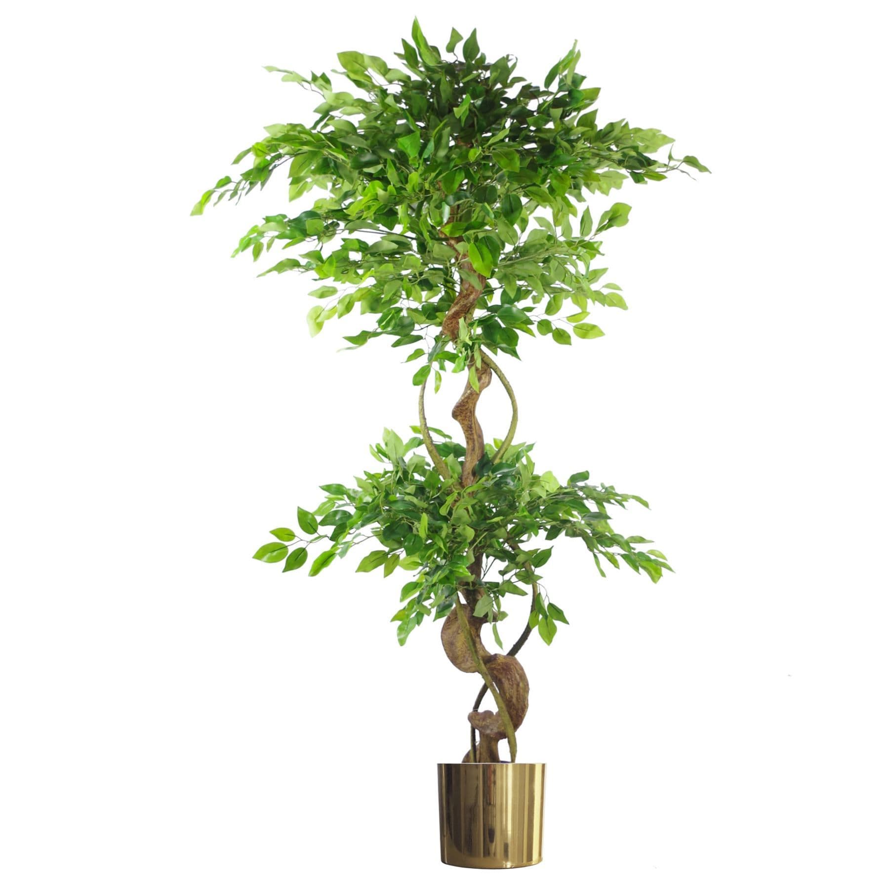 150cm Twisted Trunk Artificial Ruscus Fruticosa Ficus Tree Gold Planter
