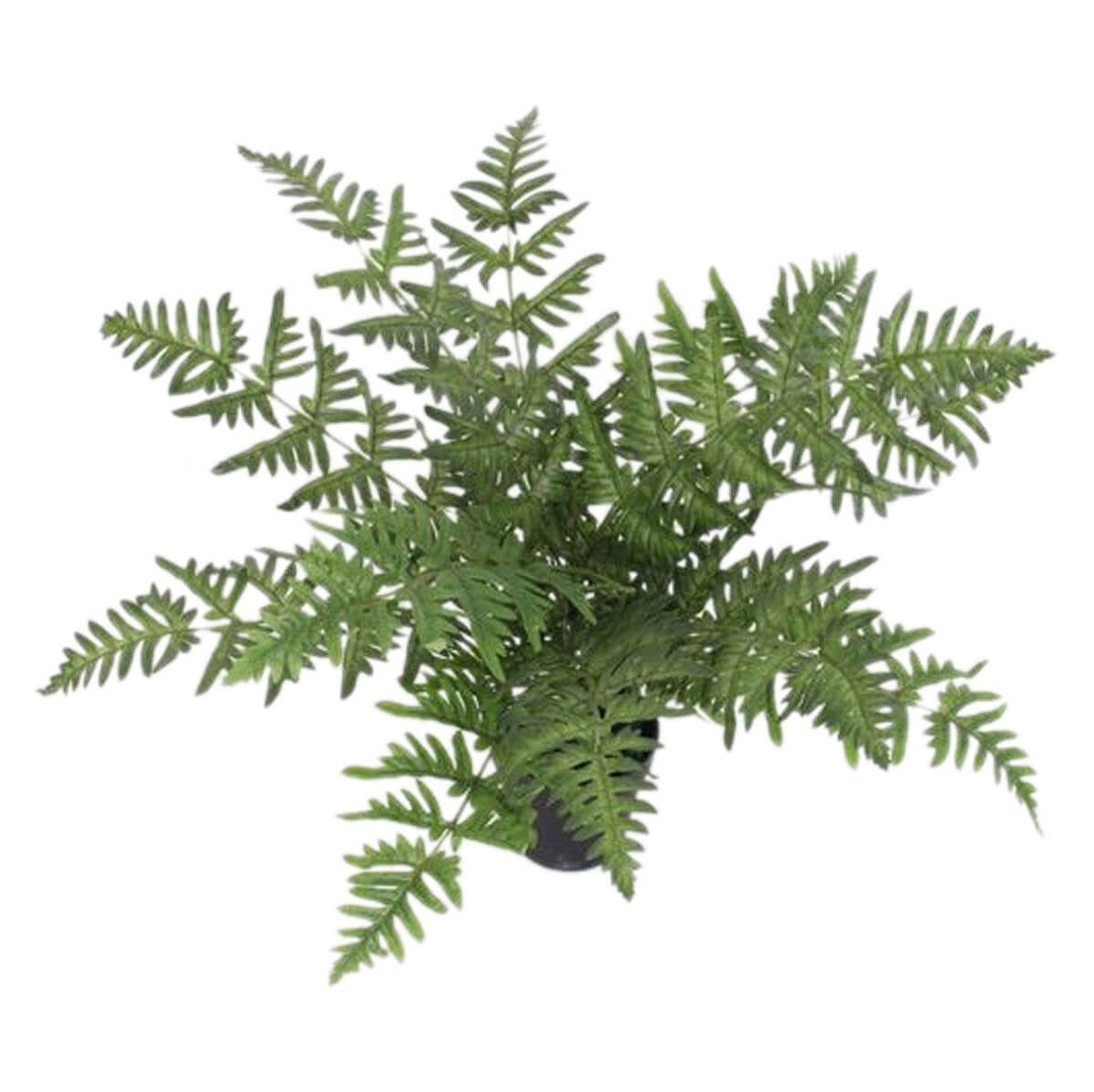 50cm Luxury Artificial Evergreen Fern Plant