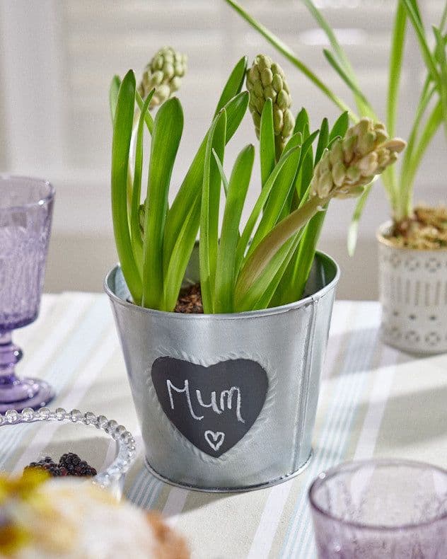 Vintage Zinc Love Heart Flower Indoor Outdoor Garden Planter Pot