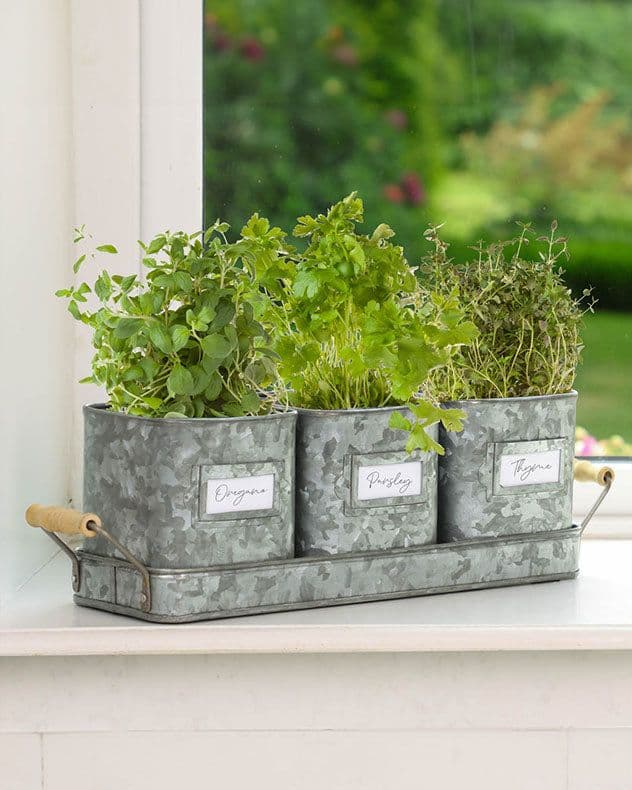 Set 3 Kitchen Herb Planter Pots Fitted Tray Windowsill Indoor Outdoor Garden Planter Set