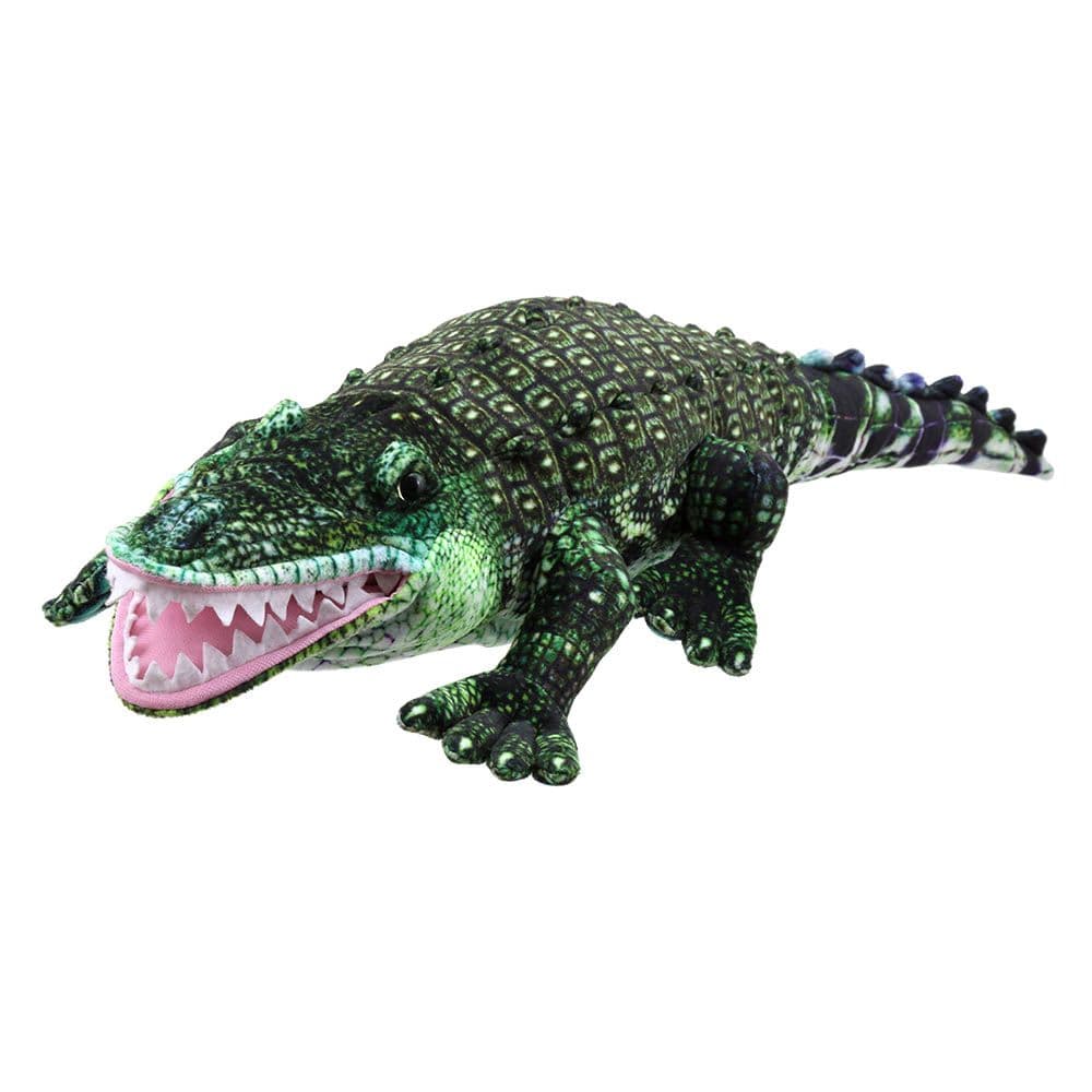 Large Creatures Alligator