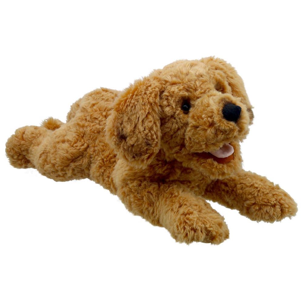 Playful Puppies Cockapoo