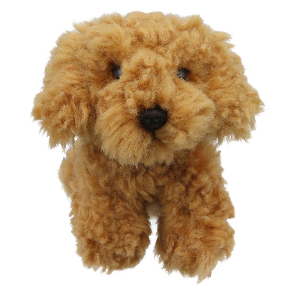 Wilberry Minis Cockapoo