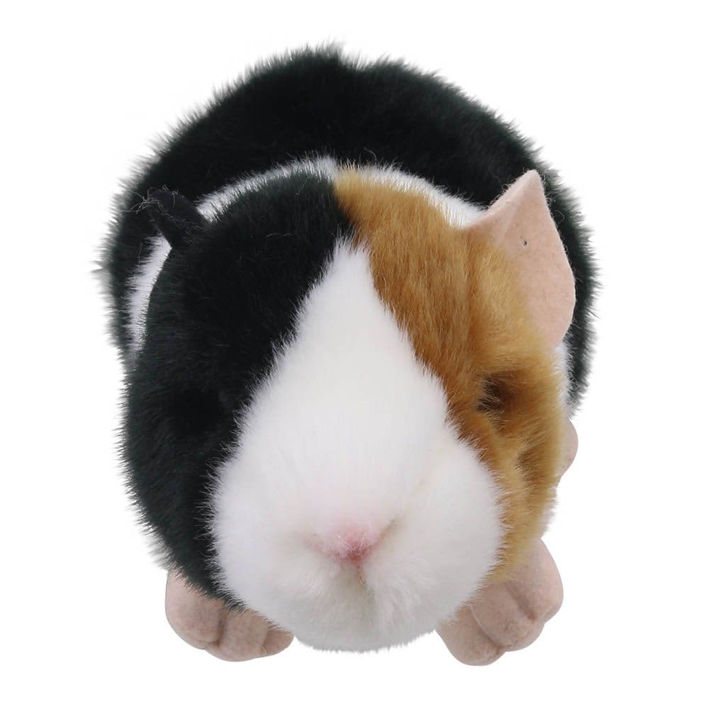 Wilberry Minis Guinea Pig