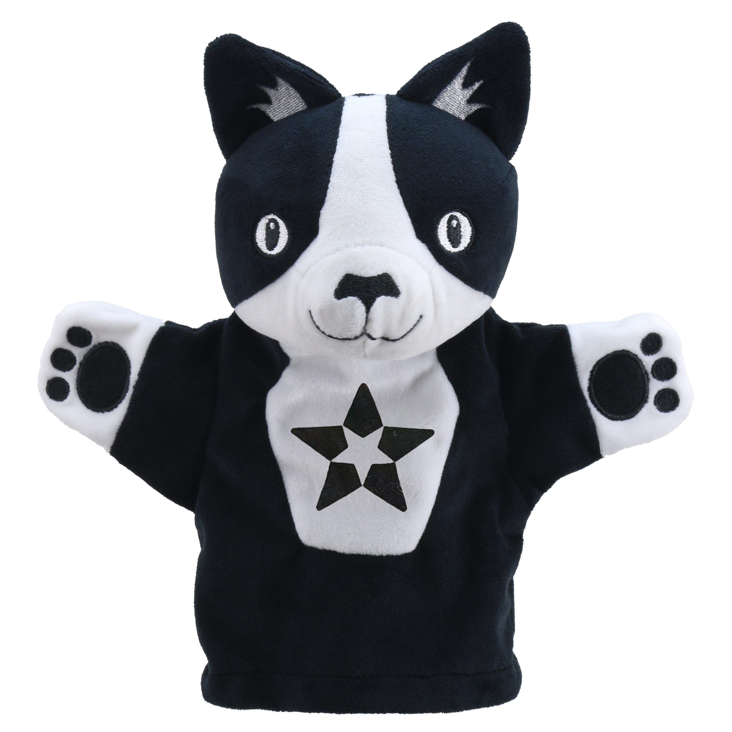 My First White Puppets Cat