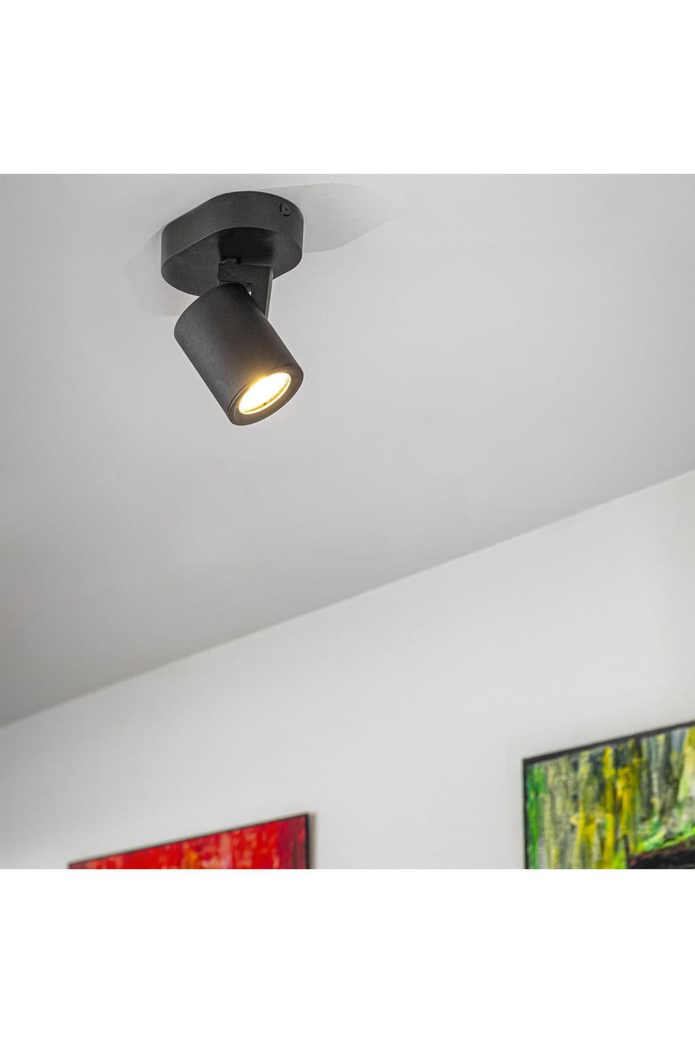 'Carla'  Single Black Modern Cylinder Spotlights