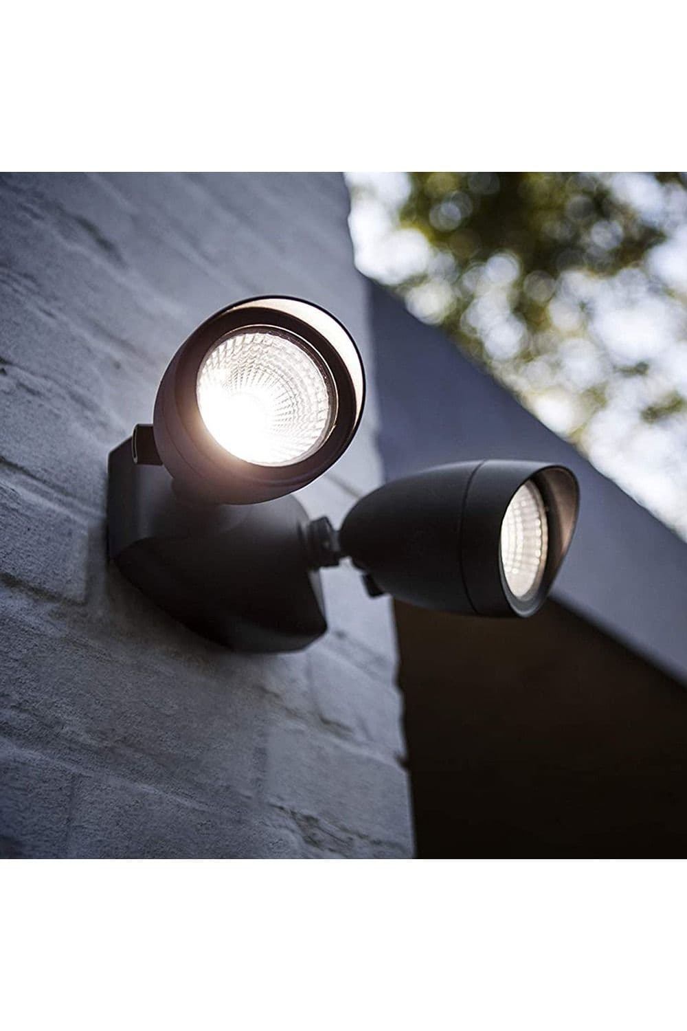 'Martha' Black Double LED Outdoor Floodlight