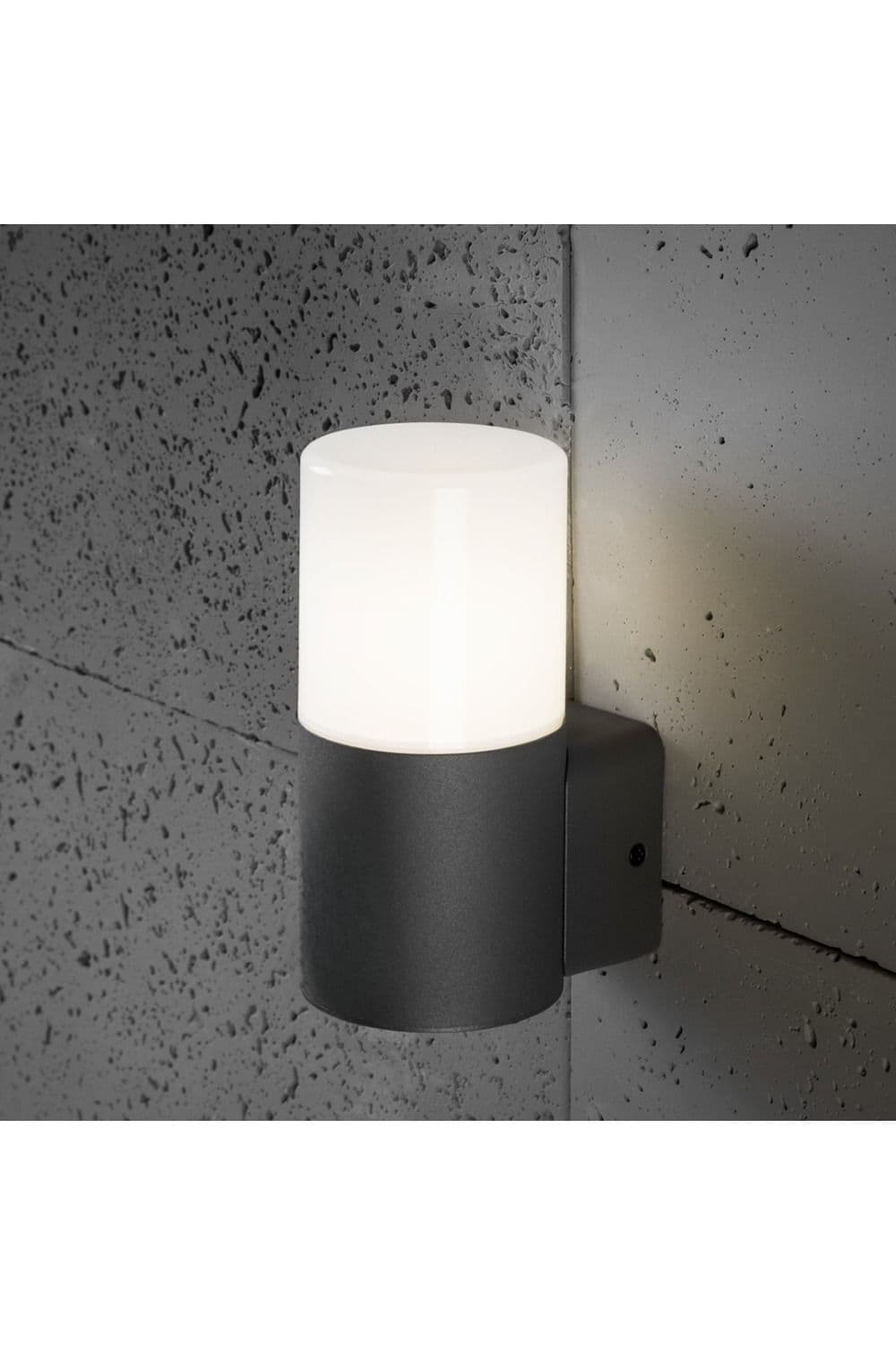 'Cortez' Dark Grey Single Outdoor Wall Light