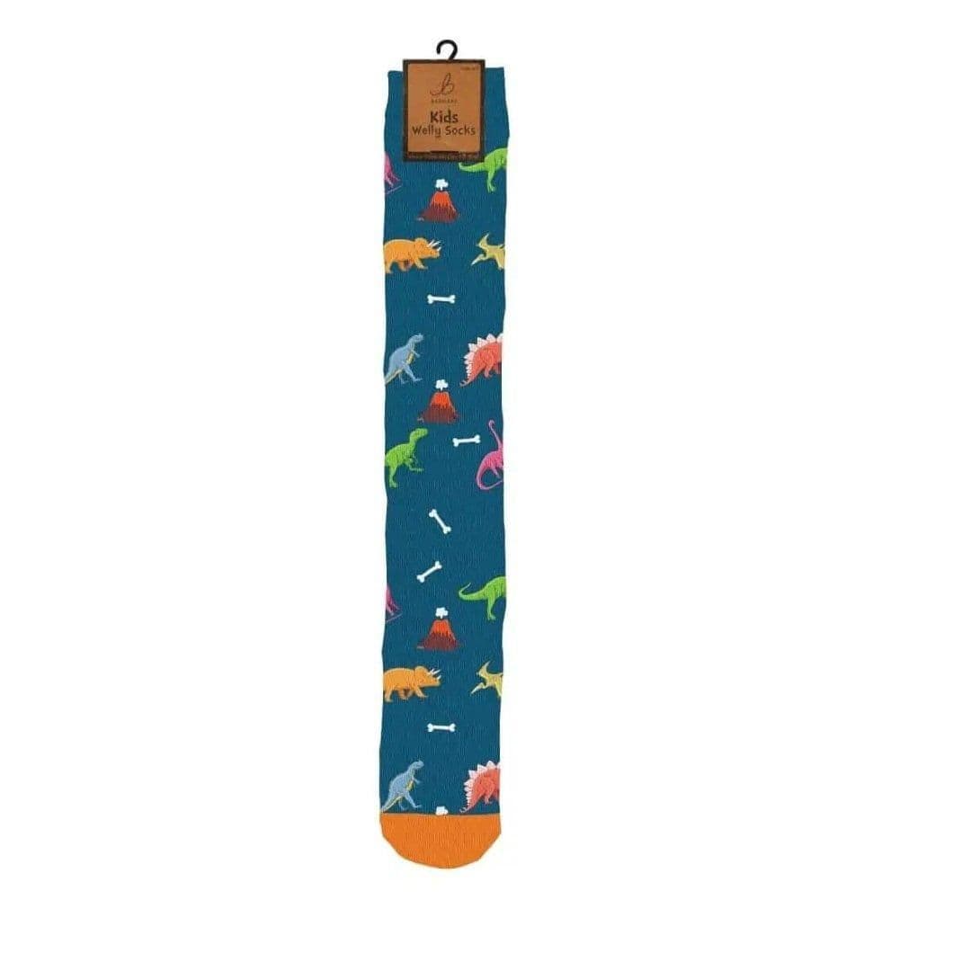 Welly Socks Assorment Dinosaur Pattern