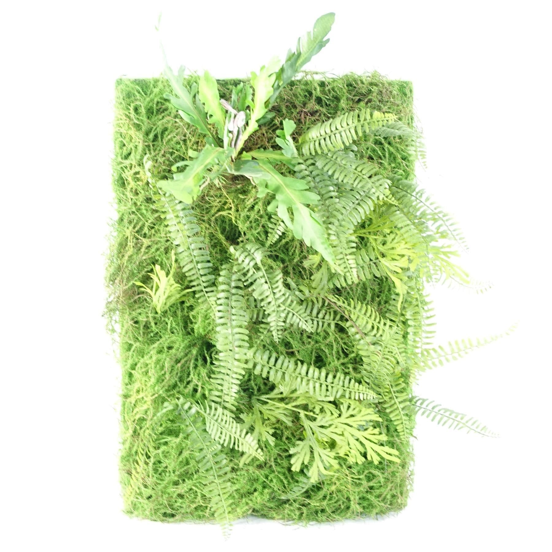 60cm Artificial Natural Look GreenWall Ferns