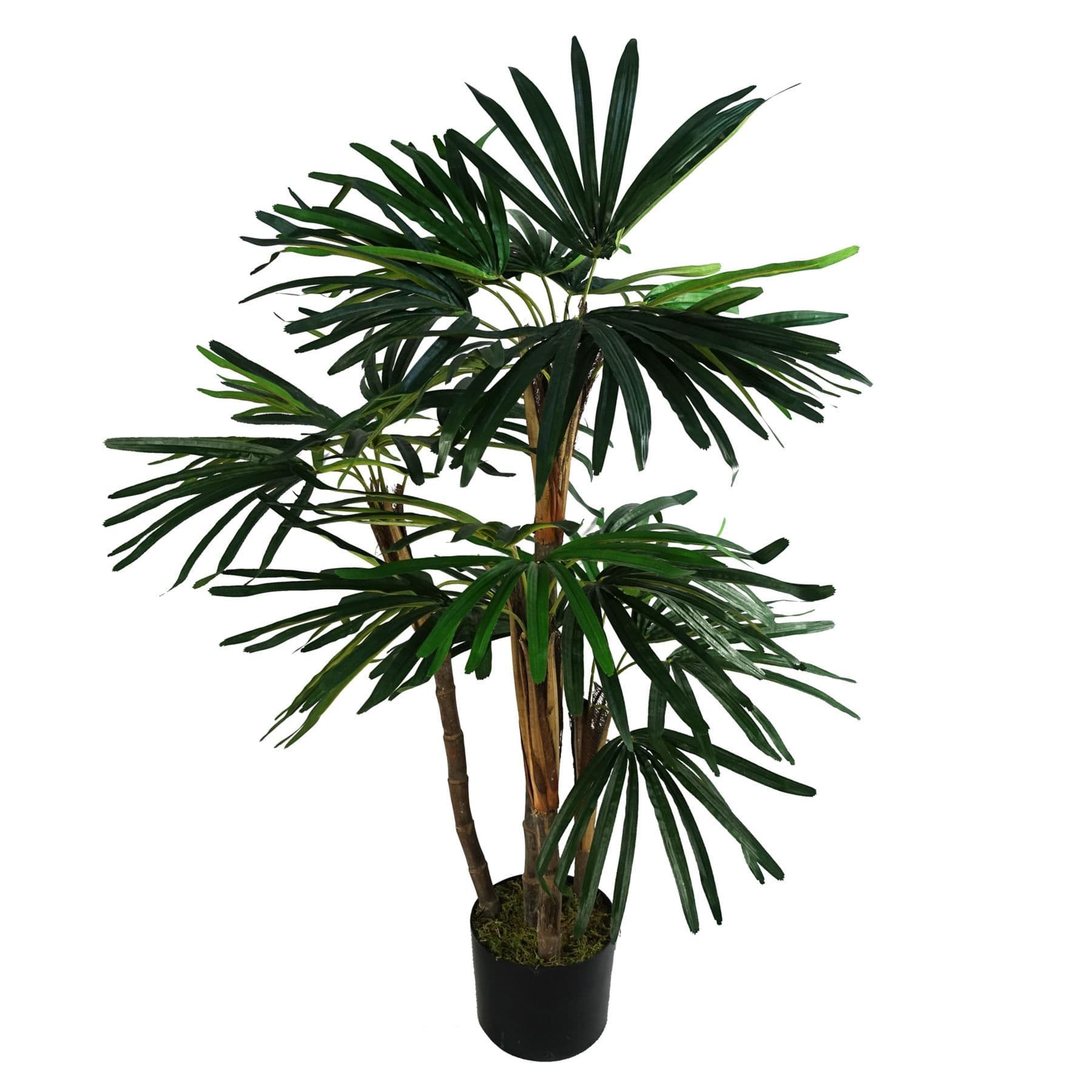 100cm Raphis Palm Artificial Tree