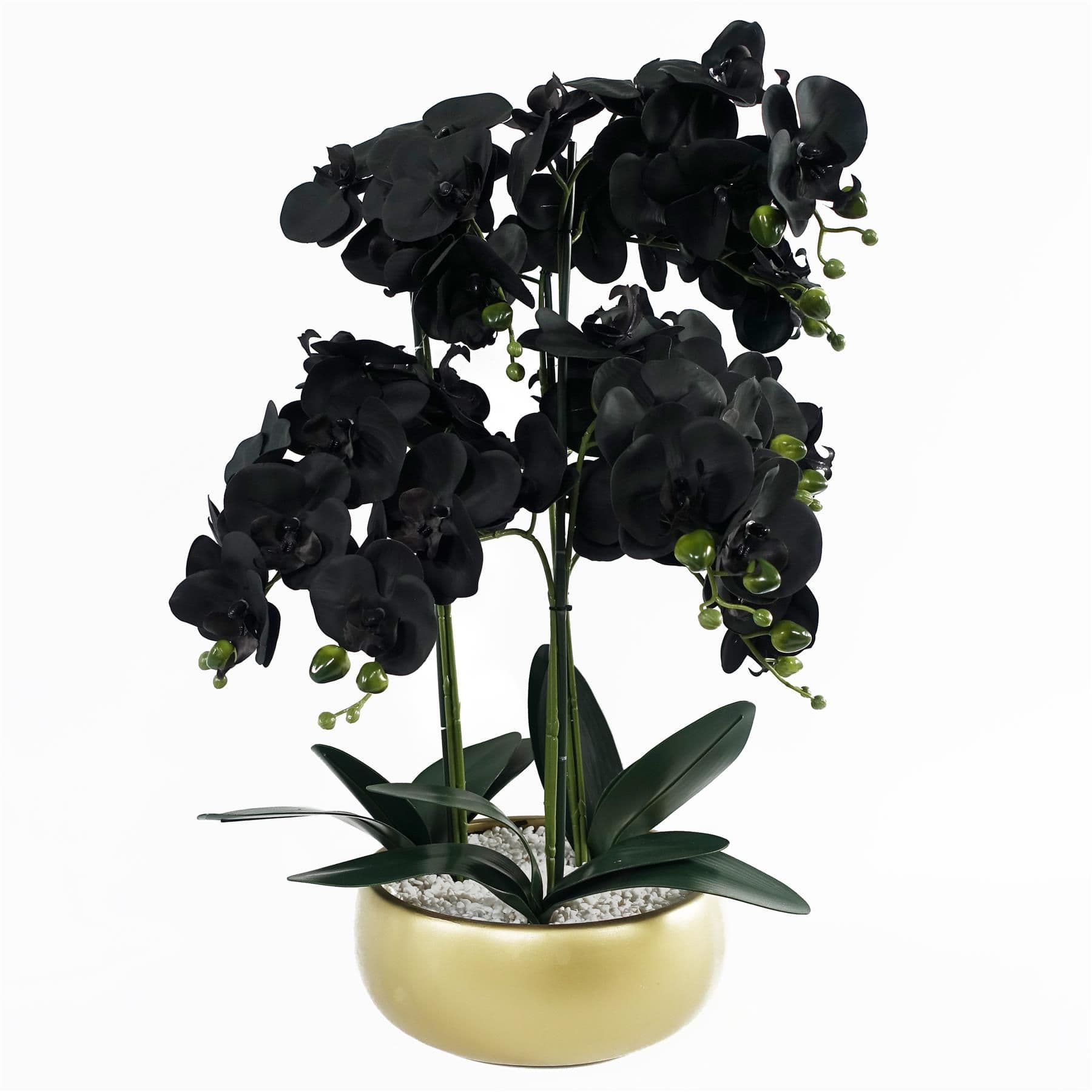60cm Orchid Black -Gold Ceramic Planter