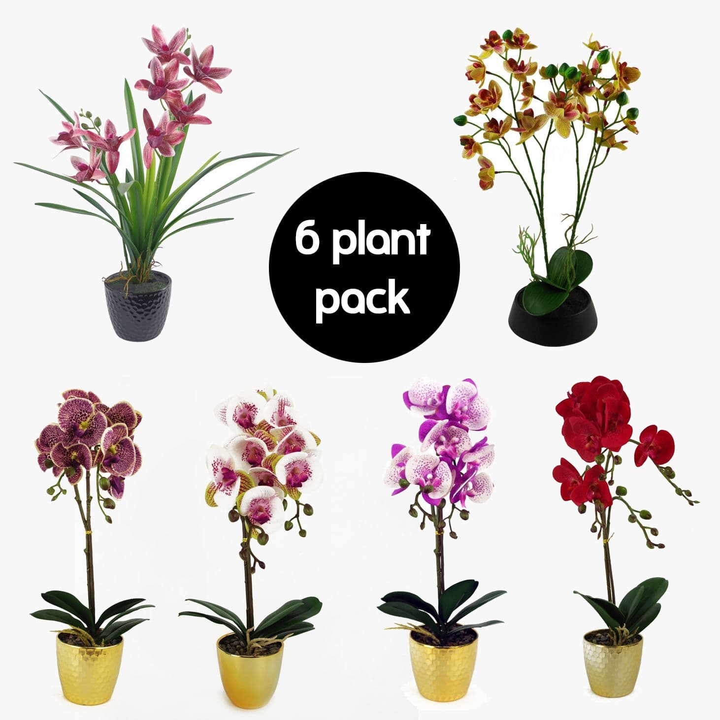 Pack of 6 Artificial Orchid Flowers in Pots