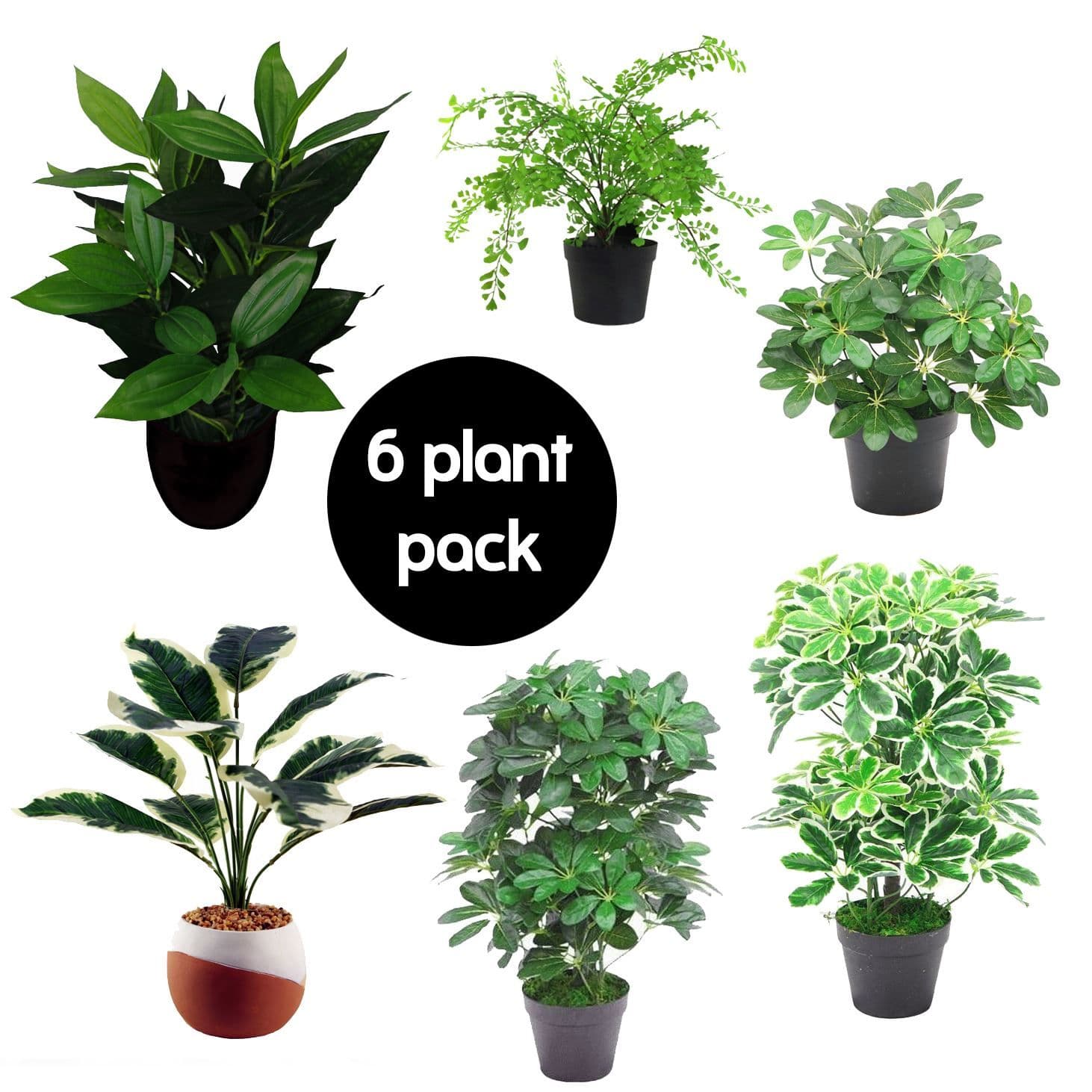 Pack of 6 Artificial Foliage Plants