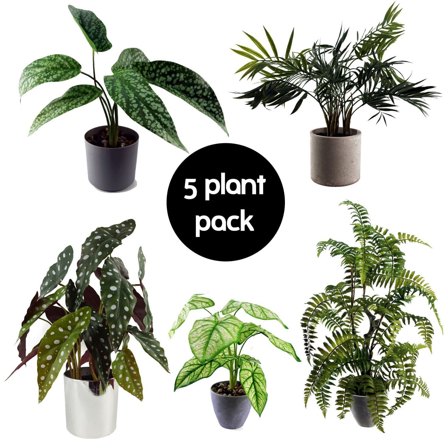 Pack of 5 Realistic Artificial Foliage Plants