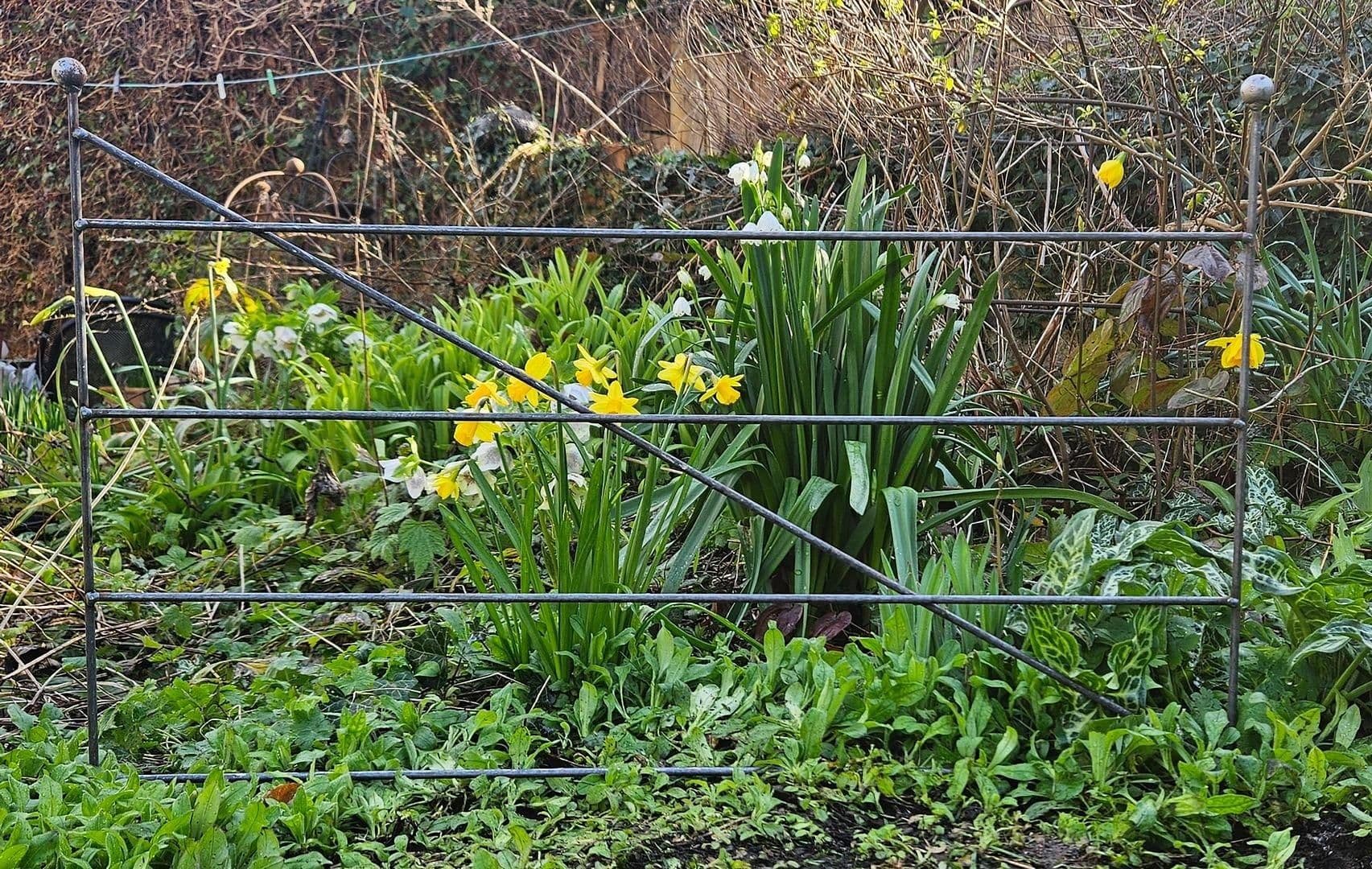 Decorative Metal Fence Rustic Metal