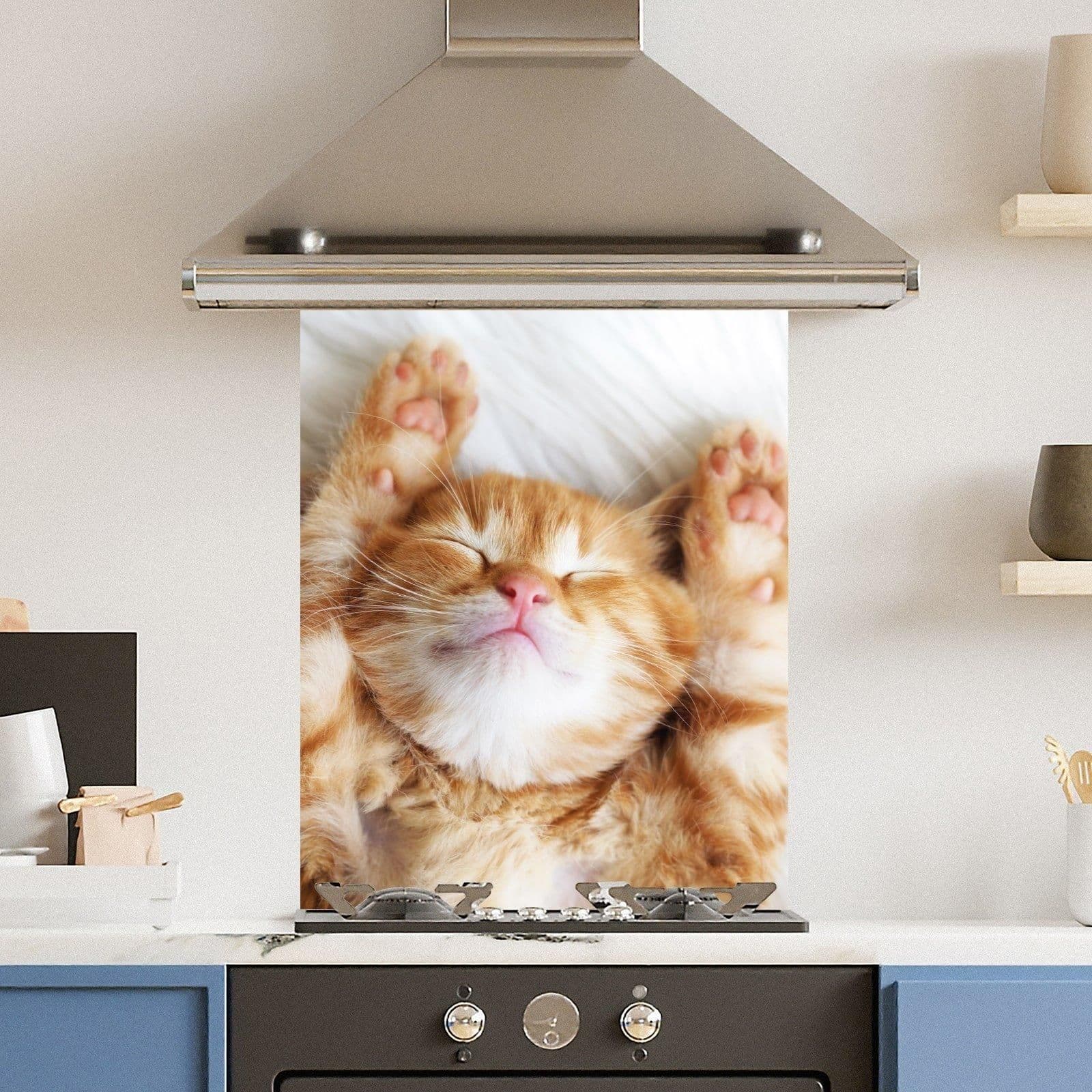 Premium 60cm x 75cm 6mm Glass Cute Cat Kitchen Splashback Various Sizes Toughened 60 cm