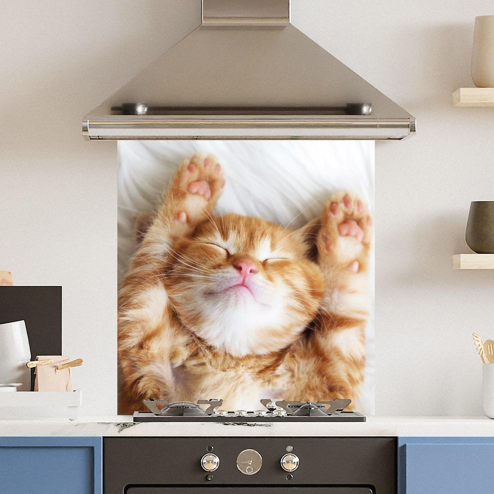 Premium 70cm x 75cm 6mm Glass Cute Cat Kitchen Splashback Various Sizes Toughened 70 cm