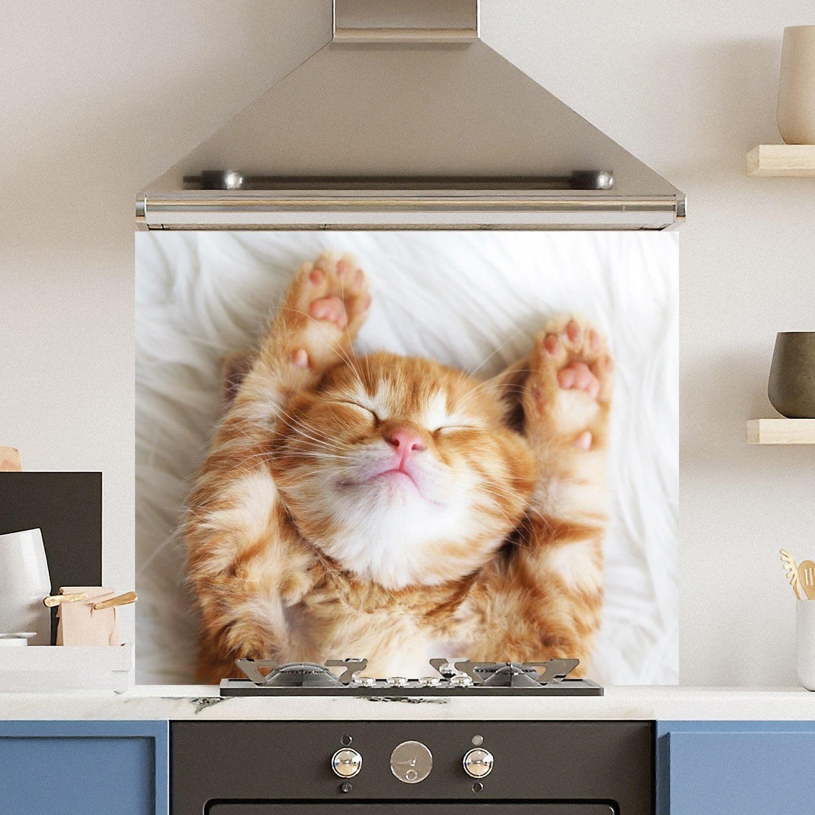 Premium 90cm x 75cm 6mm Glass Cute Cat Kitchen Splashback Various Sizes Toughened 90 cm