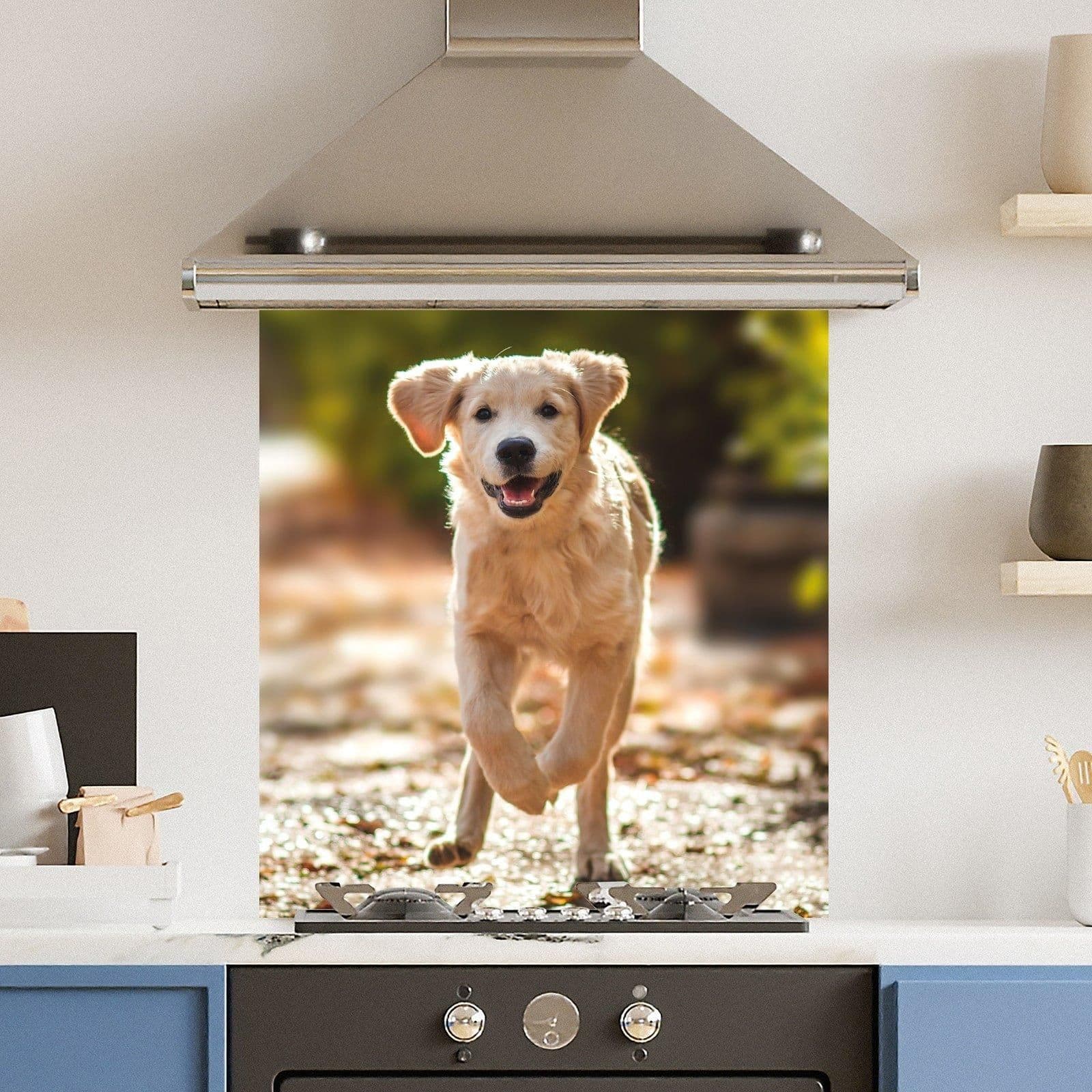 Premium 70cm x 75cm 6mm Glass Running Dog Kitchen Splashback Various Sizes Toughened 70 cm
