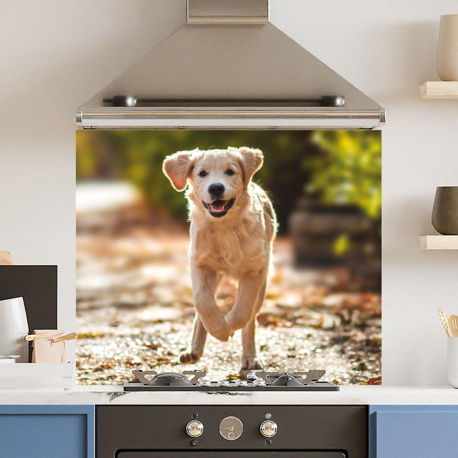 Premium 90cm x 75cm 6mm Glass Running Dog Kitchen Splashback Various Sizes Toughened 90 cm