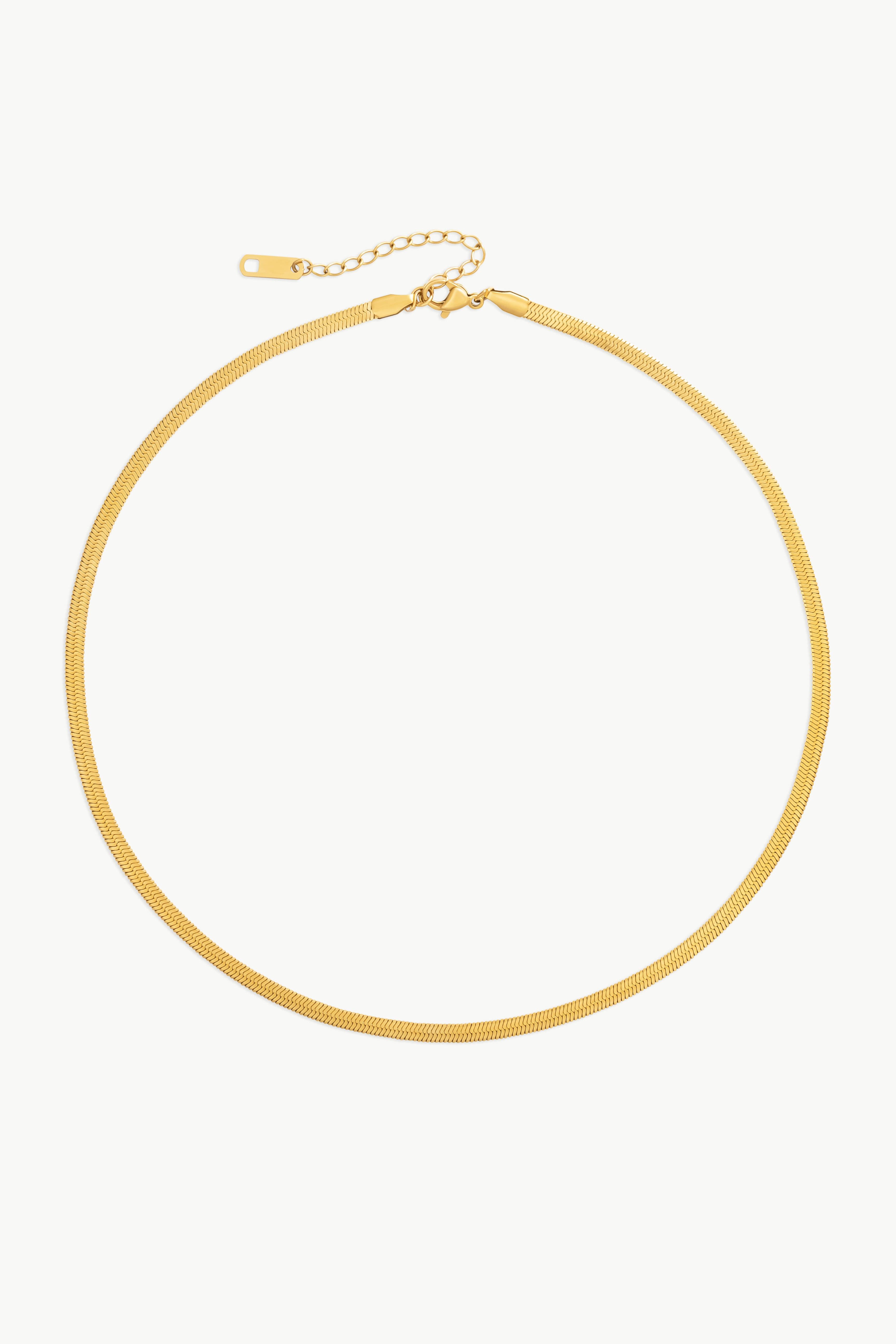 Arctic Fox & Co. Women's The Snake Chain Necklace in Metallic Gold | Size: Standard