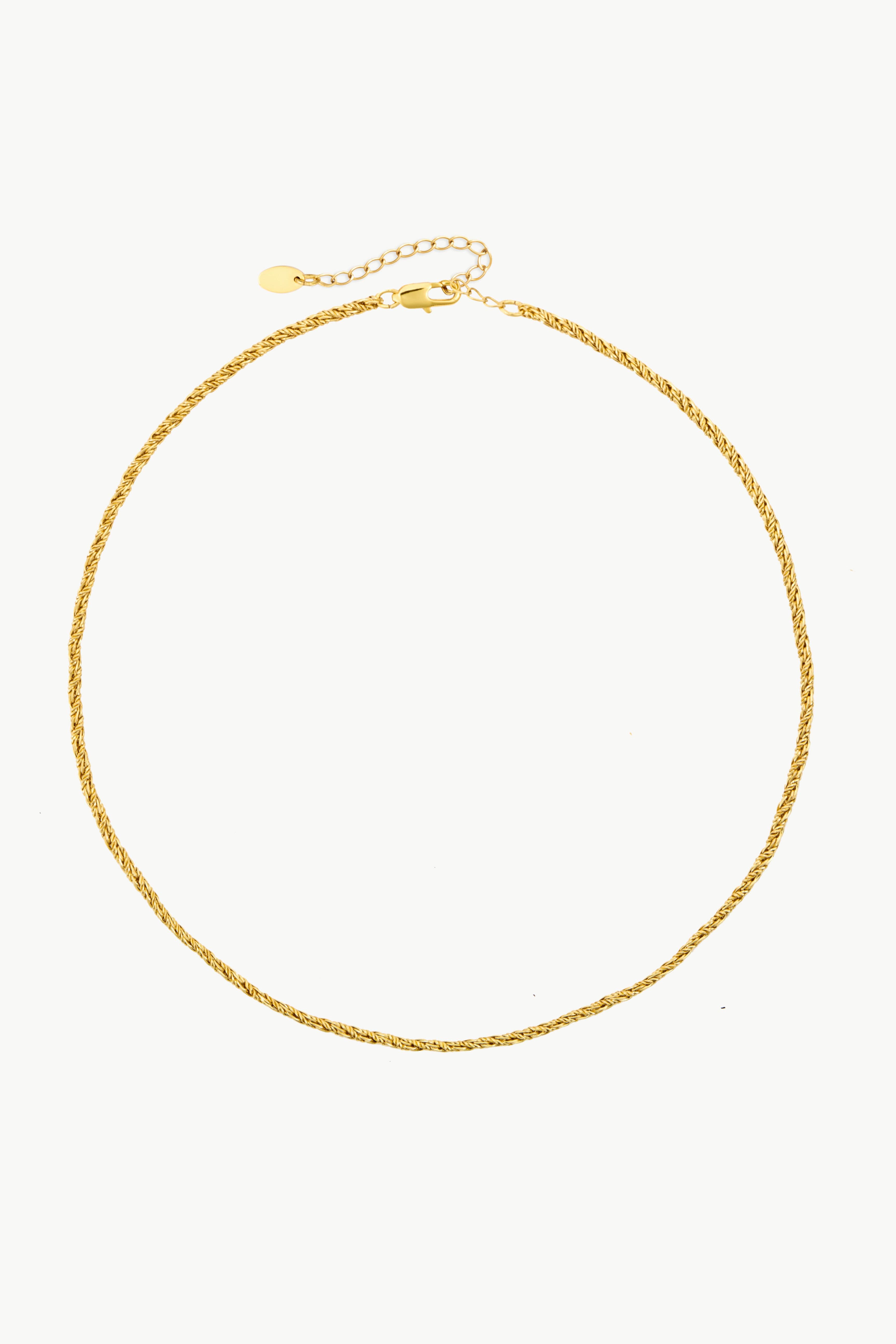 Arctic Fox & Co. Women's Gold Rope Chain Necklace in Metallic Gold | Size: Standard