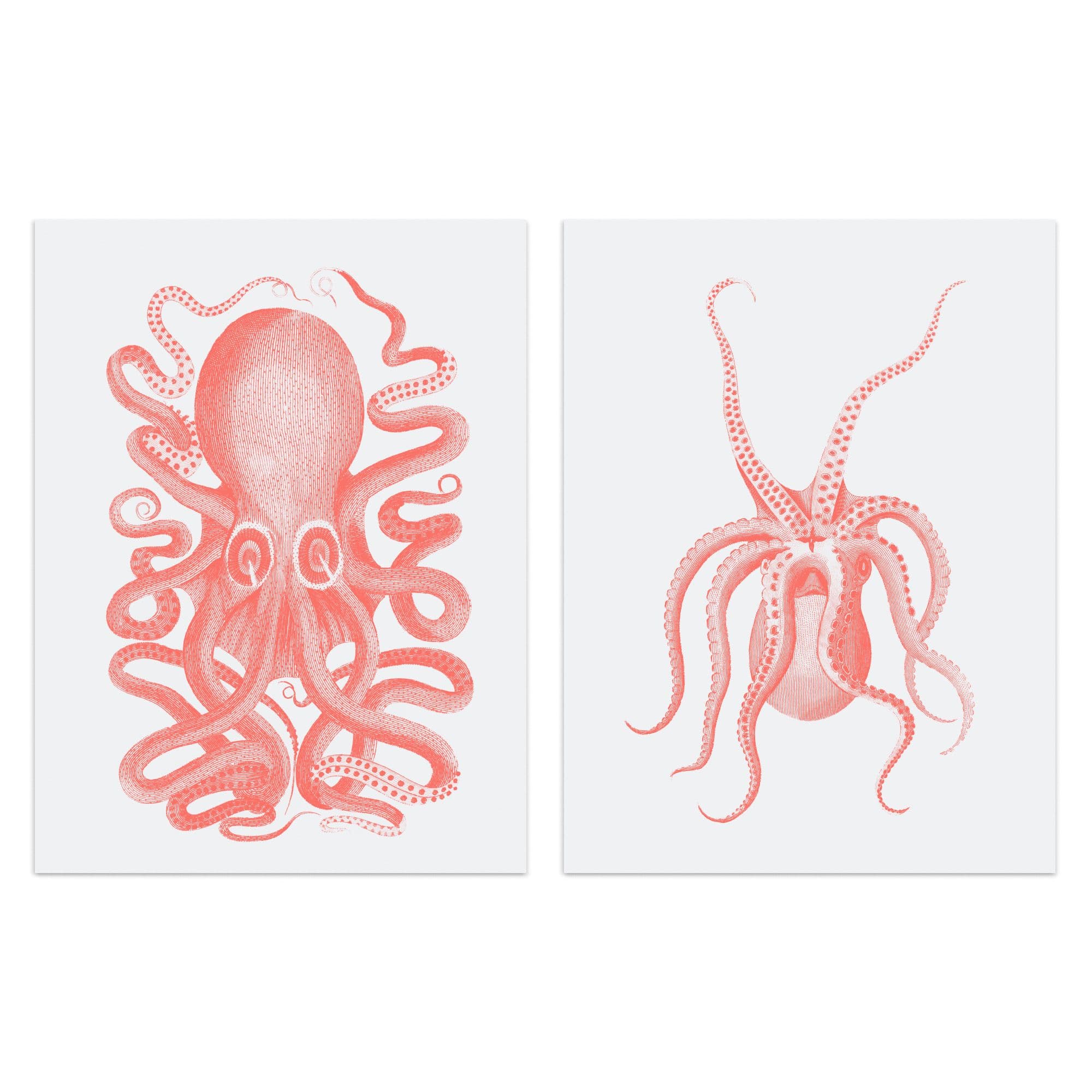 Wall Art Print Pink Octopus Marine Sea Life Set Of 2 s Bathroom Bedroom Aesthetic Vintage A4
