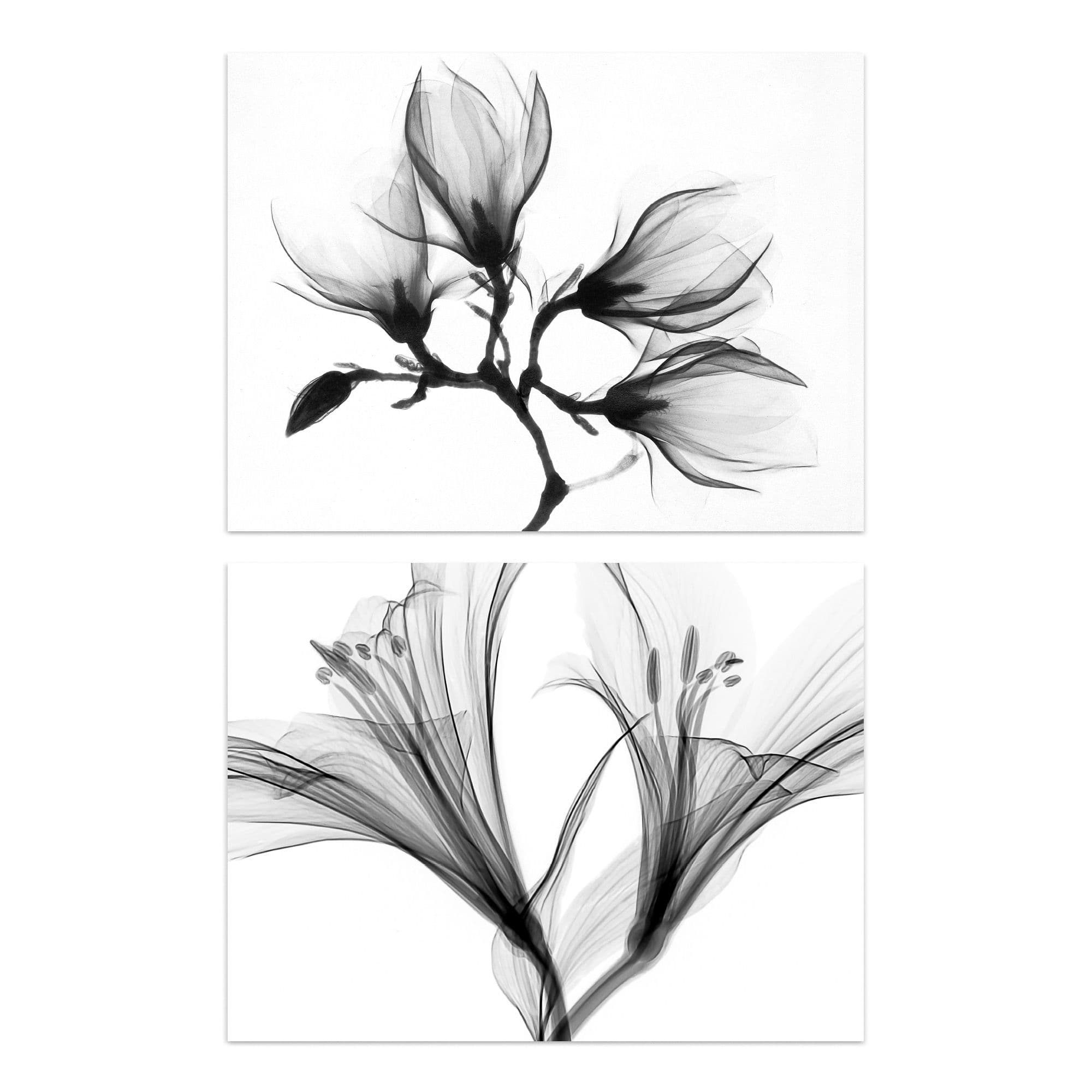 Wall Art Print Flower X-Ray's Lily And Magnolia Black White Set Of 2 s Office Study Aesthetic Photograph A4