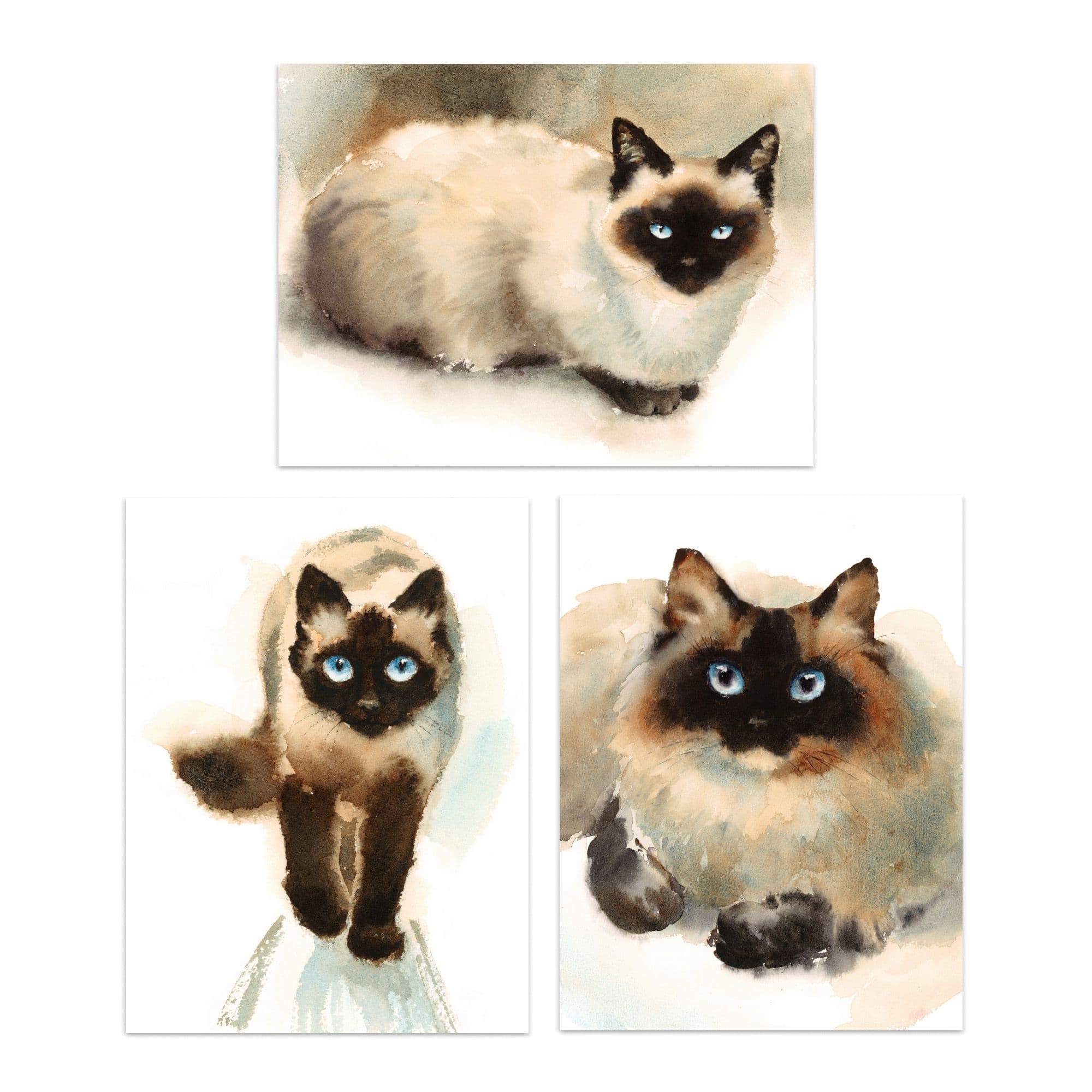 Wall Art Print Blue Eyed Ragdoll Cats Watercolour Set Of 3 s Living Room Aesthetic Paintings A4