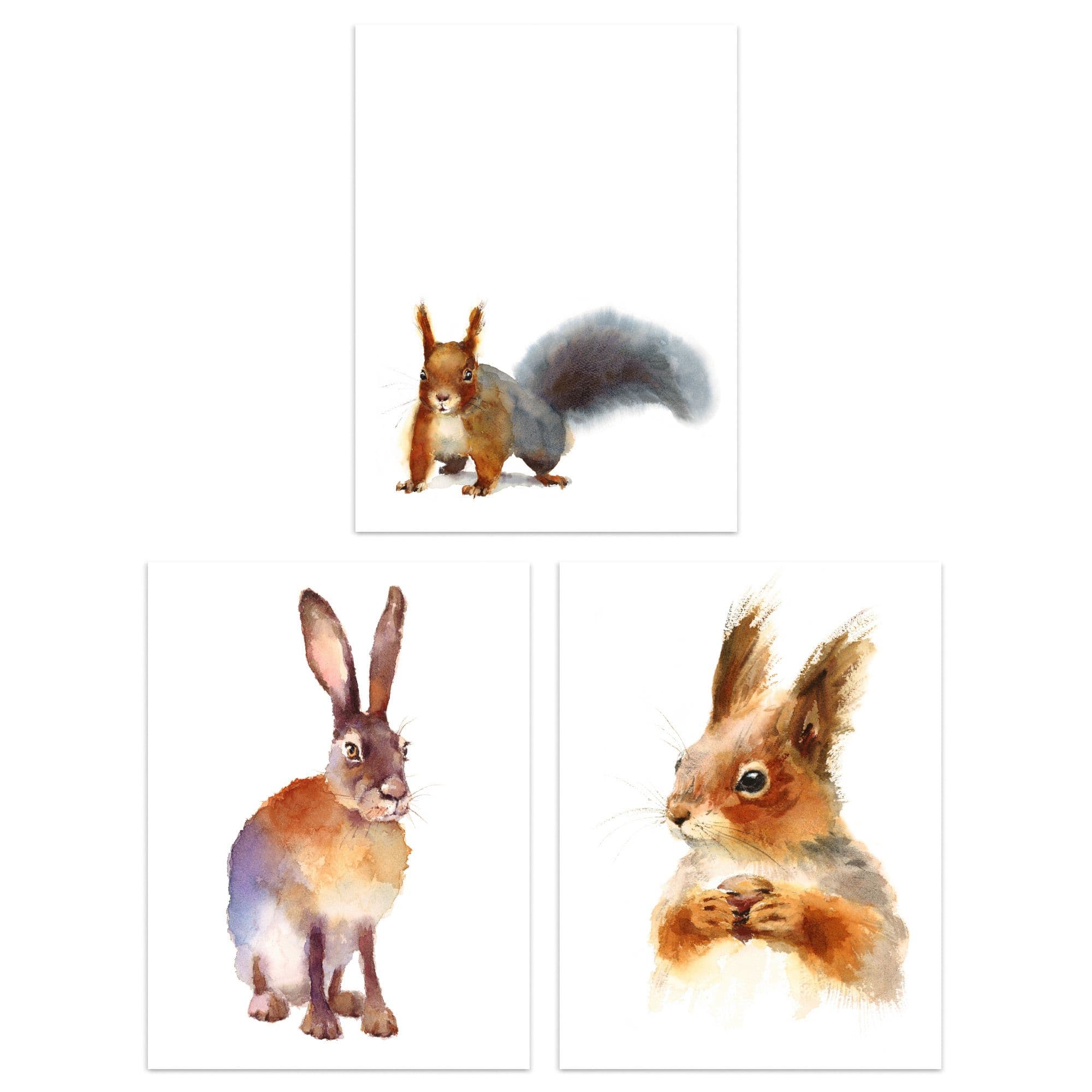Wall Art Print Watercolour Squirrel Hare Rabbit Set 3 s Bathroom Bedroom Aesthetic Woodland Painting A4