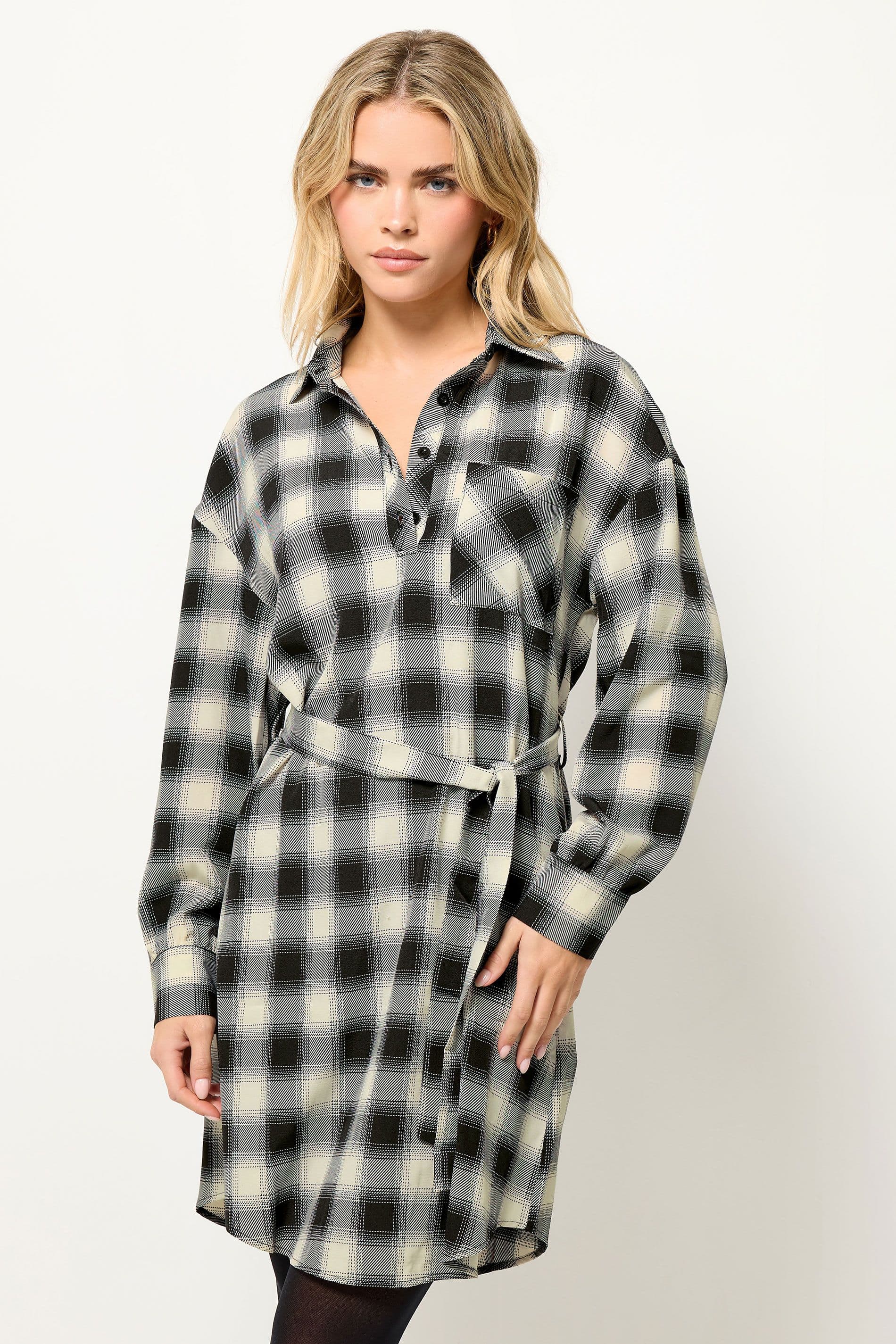 Petite Check Print Shirt Dress