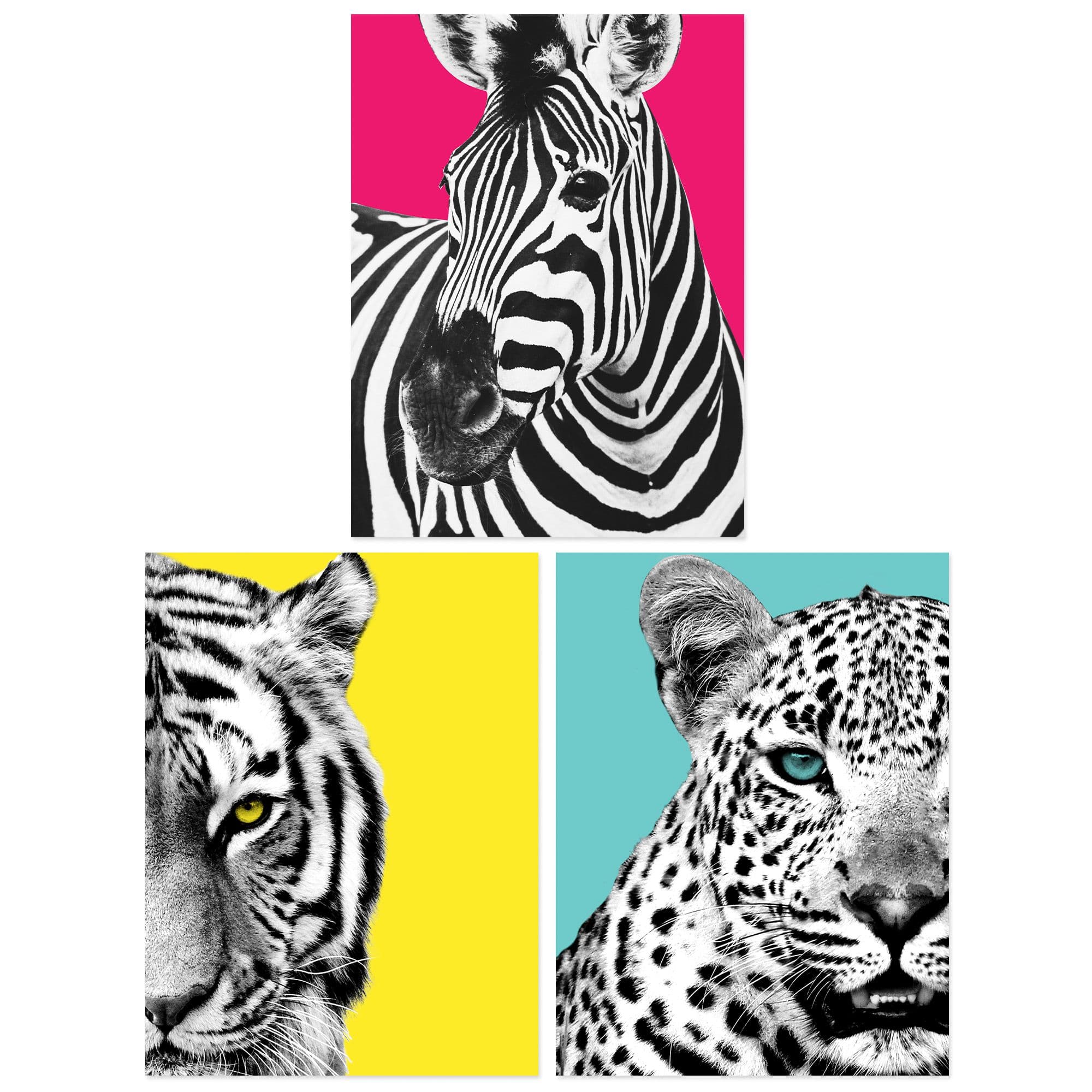 Wall Art Print Pack 3 A4 Bright Wild Animal Bright Pink Zebra Lion Leopard Block Poster Living Room s Set