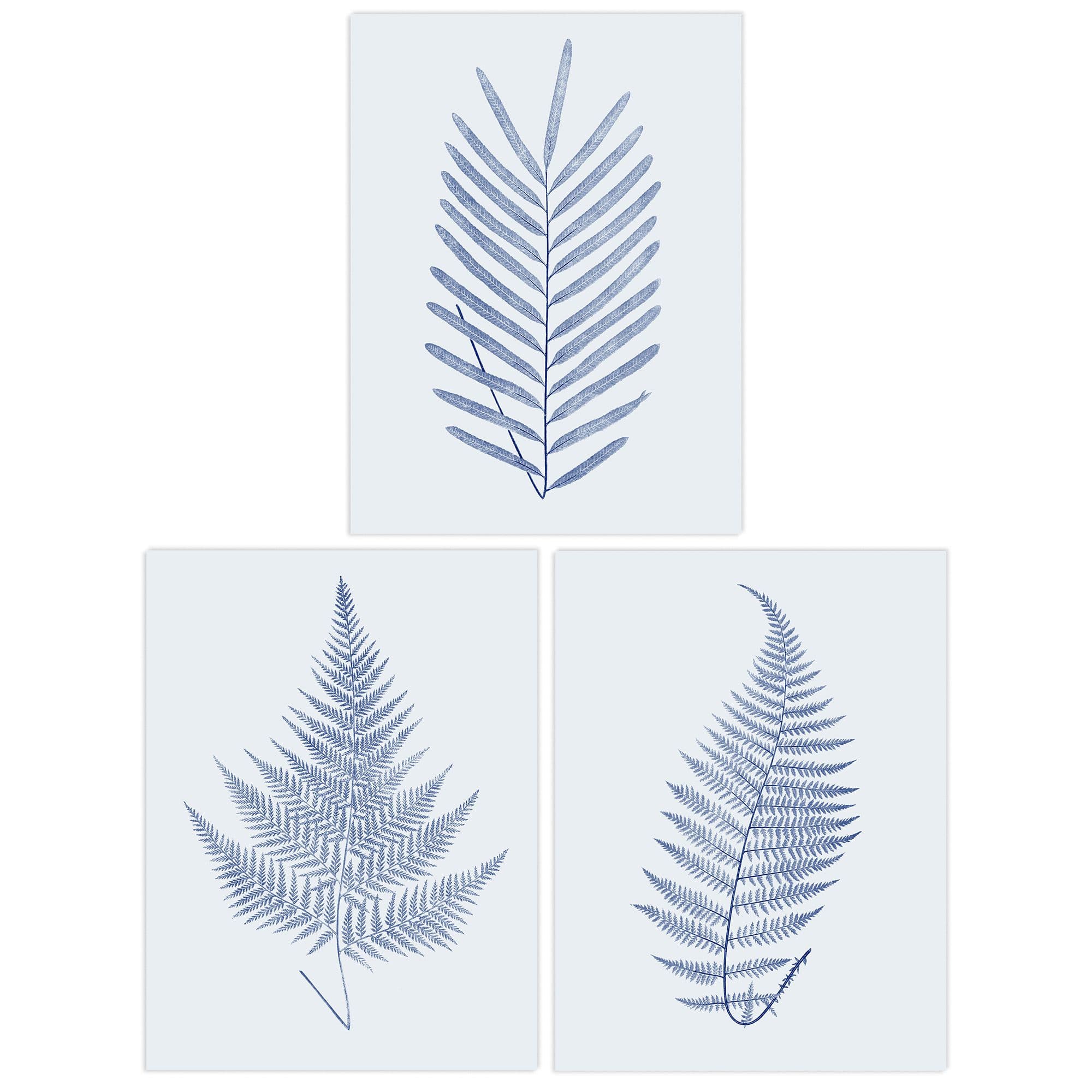 Wall Art Print Pack 3 A4 Elegant Calming Fern Leaf Frond on Grey Detailed Foliage Im Botanical Living Room s Set