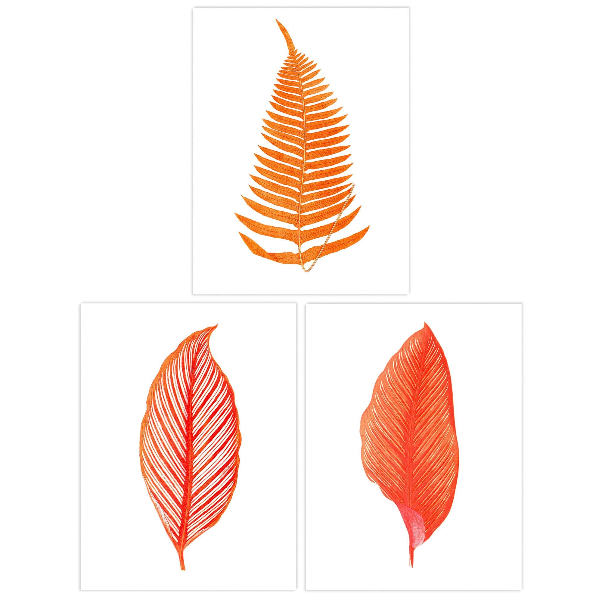 Wall Art Print Pack of 3 A4 Elegant Fern Frond Plant Tree Bright Orange Leaf Detailed Foliage Botanical Living Room s Set