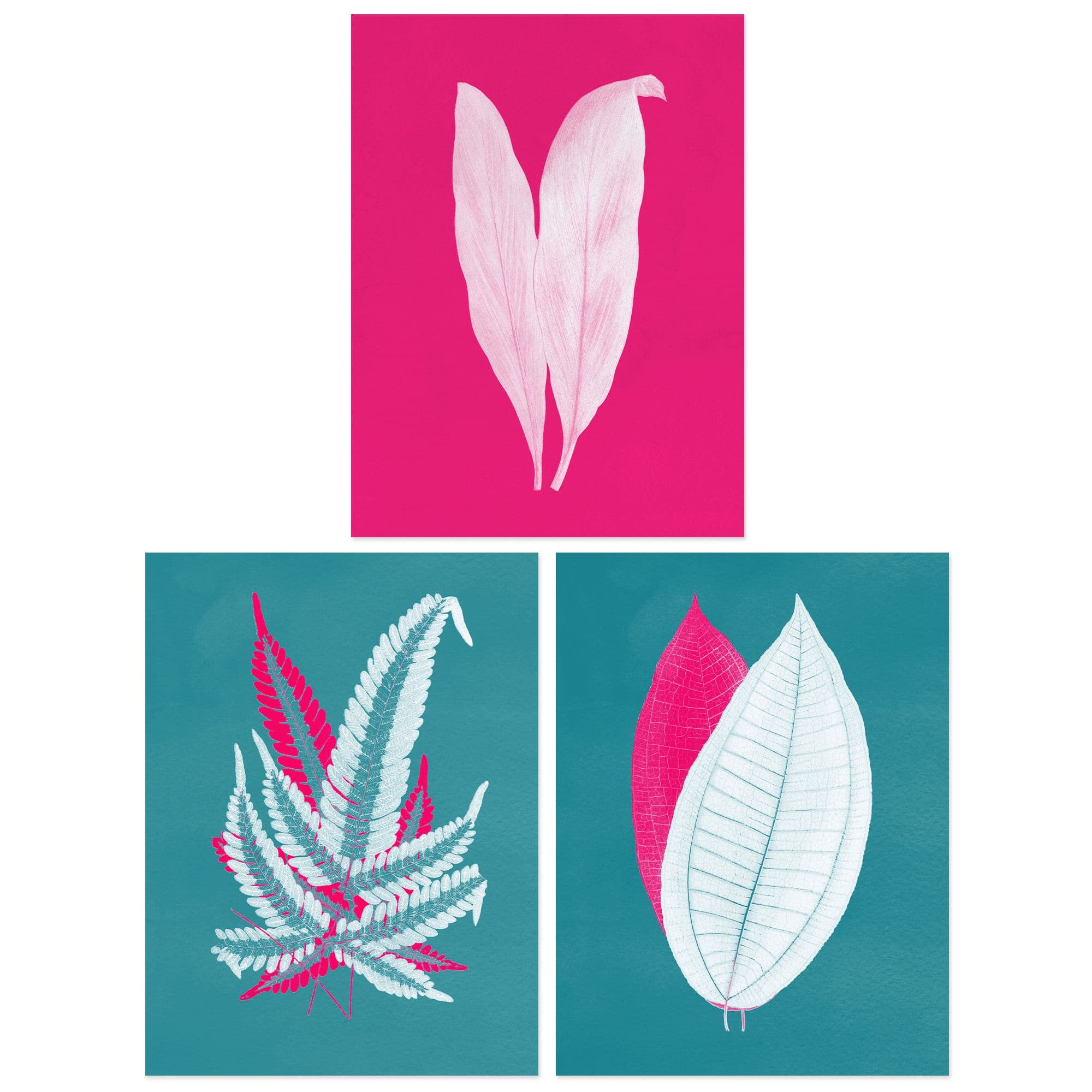 Wall Art Print Pack of 3 A4 Modern Forest Leaf Fuchsia Pink and Teal Contrast Xray Foliage Im Botanical Living Room s Set