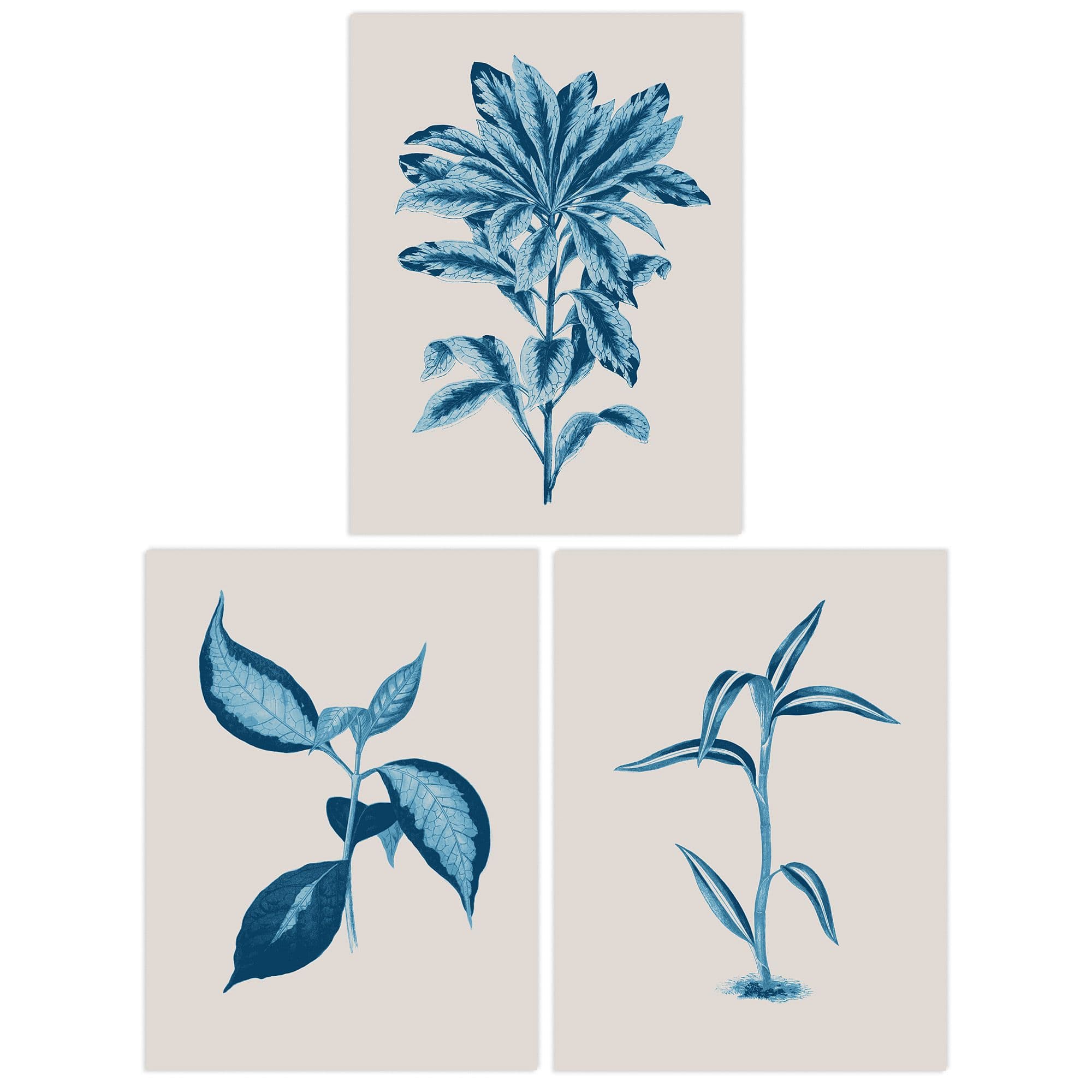Wall Art Print Pack of 3 A4 Modern Audubon Style Blue on Beige Detailed Leafy Plant Botanical Living Room s Set